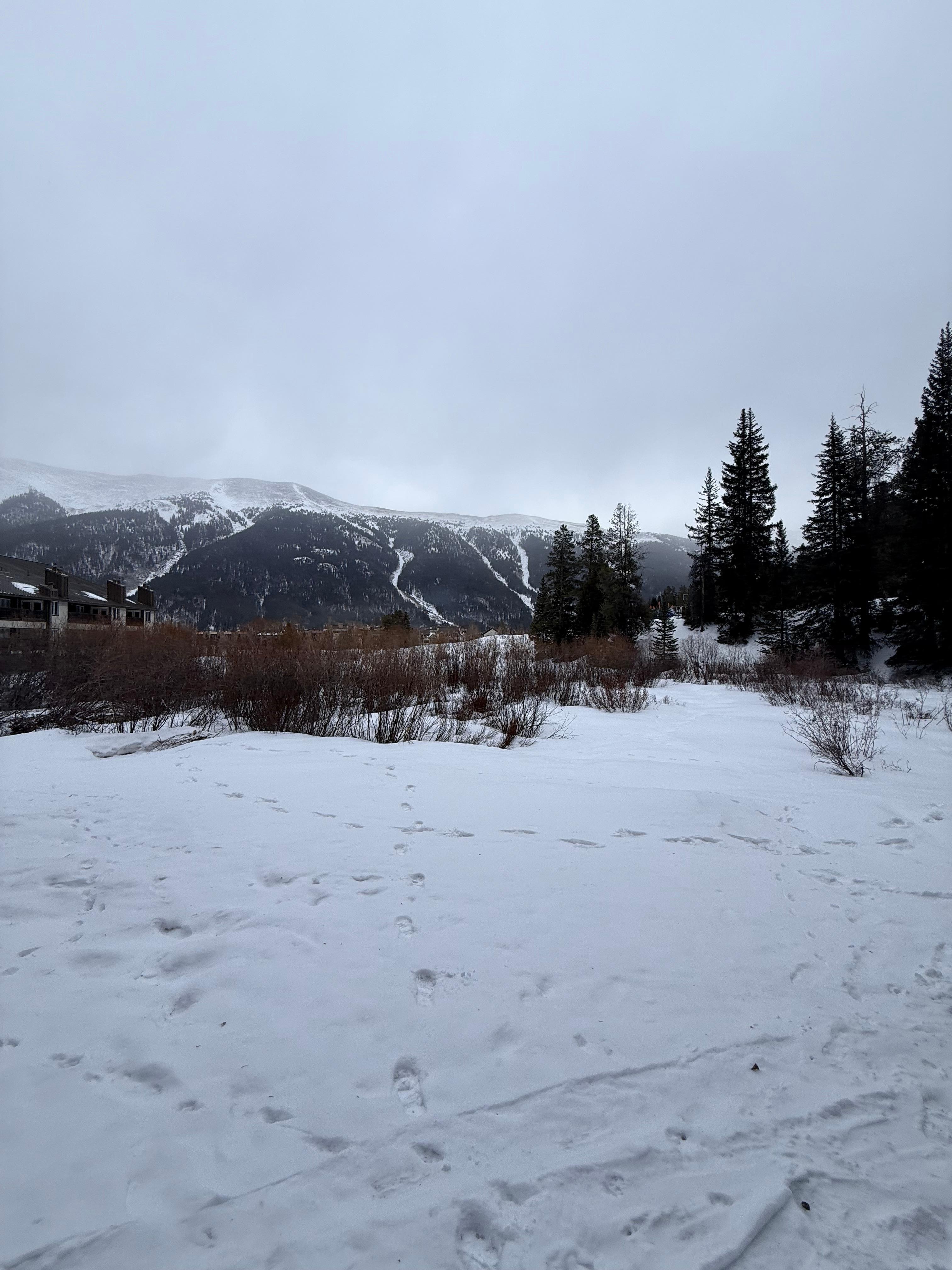 View from the side of the property. 