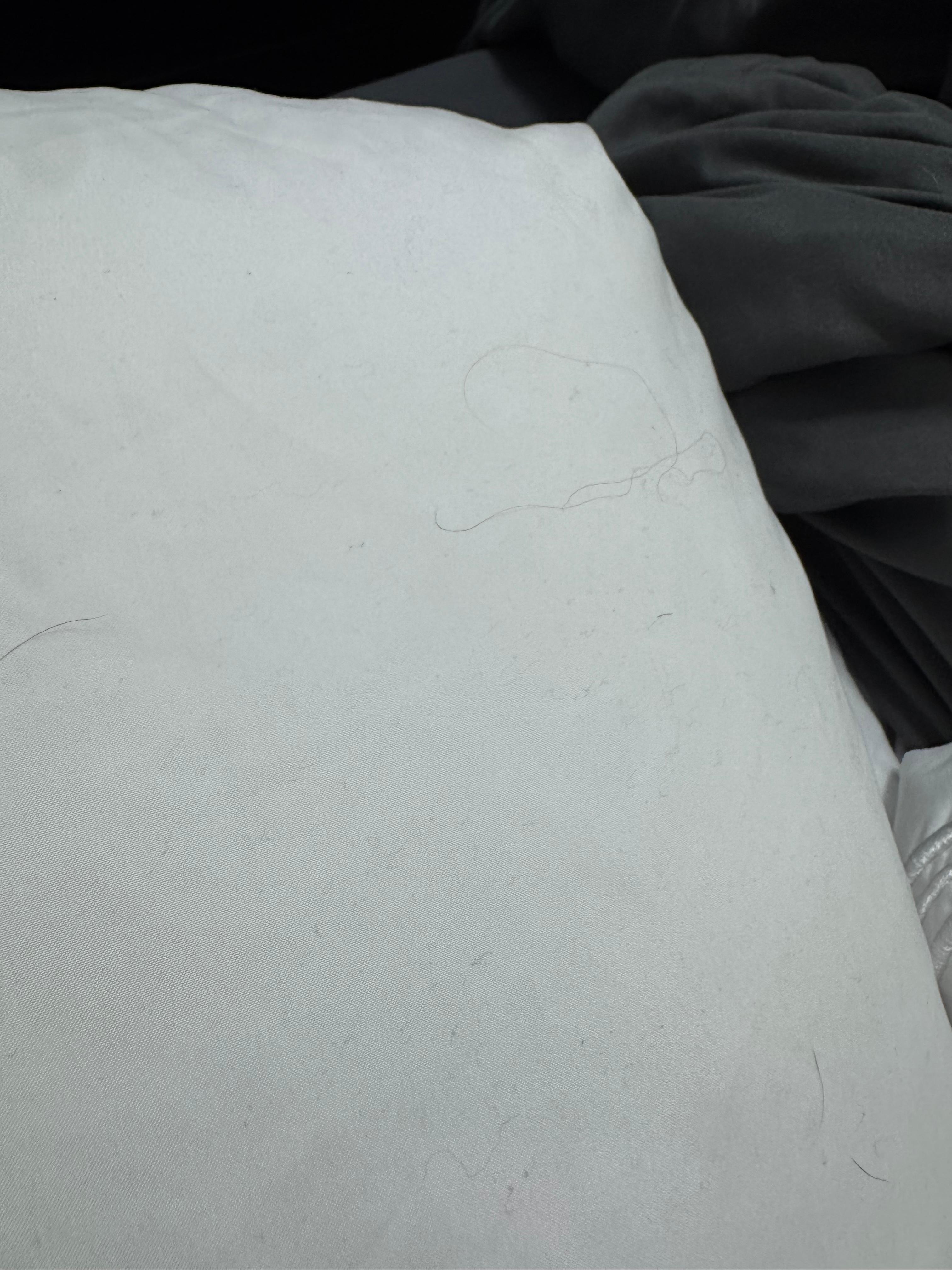 Hairs on pillows