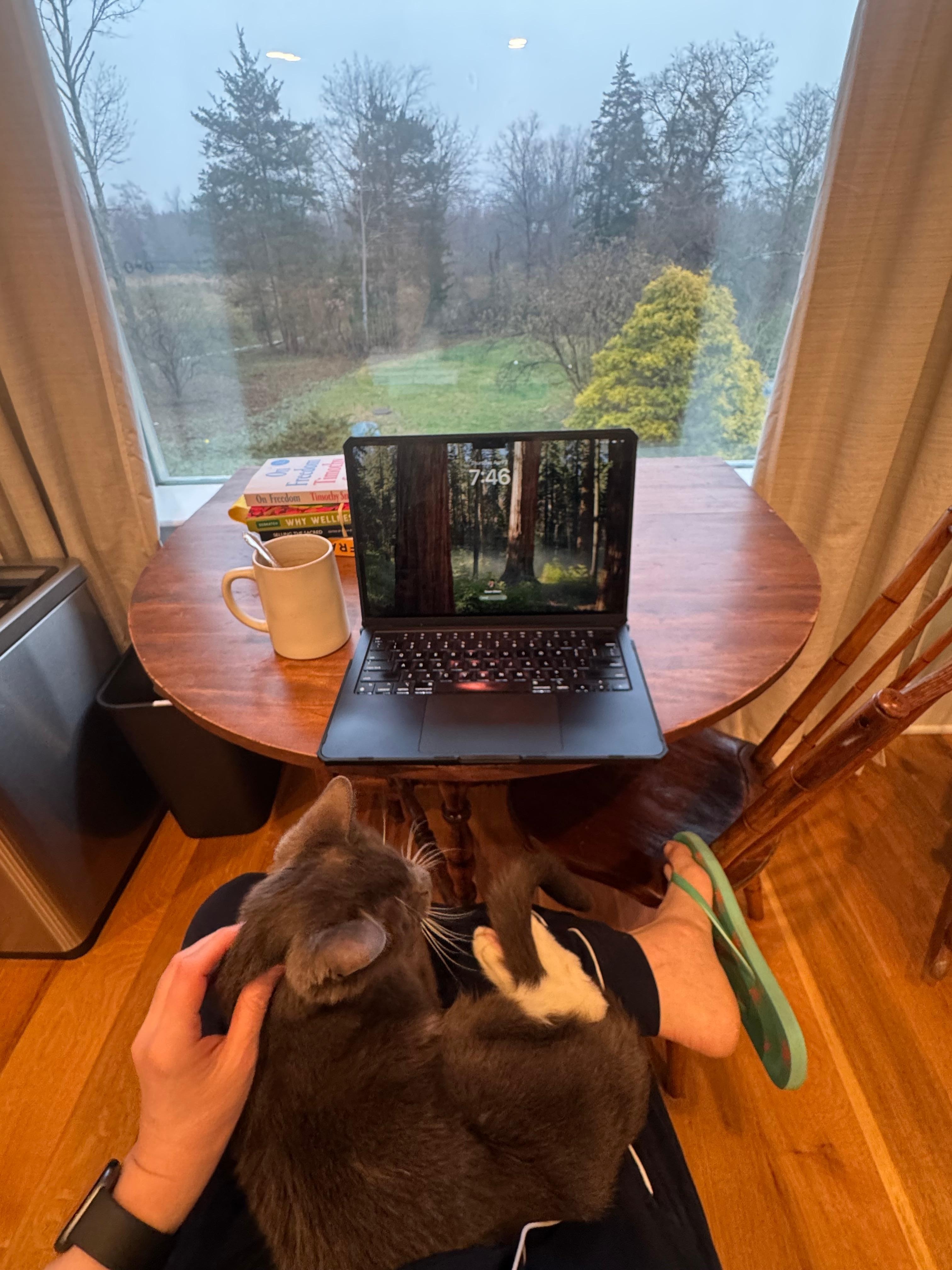 Perfect view for writing!