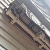 Wasp nest in awning