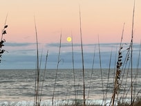 We saw the harvest moon rise. Beautiful!