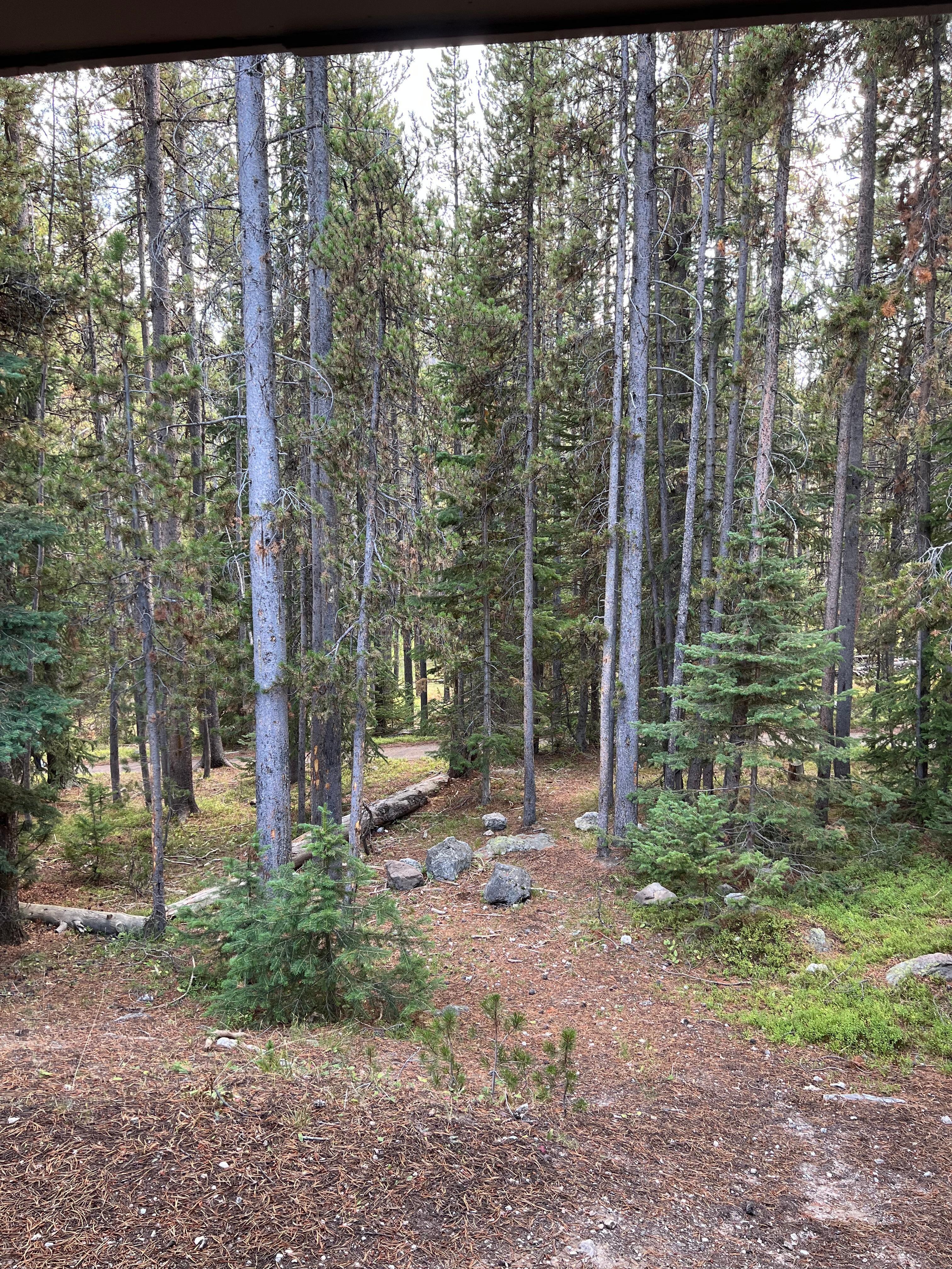 Looking out our sliding glass door from our cabin/room.