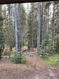 Looking out our sliding glass door from our cabin/room.