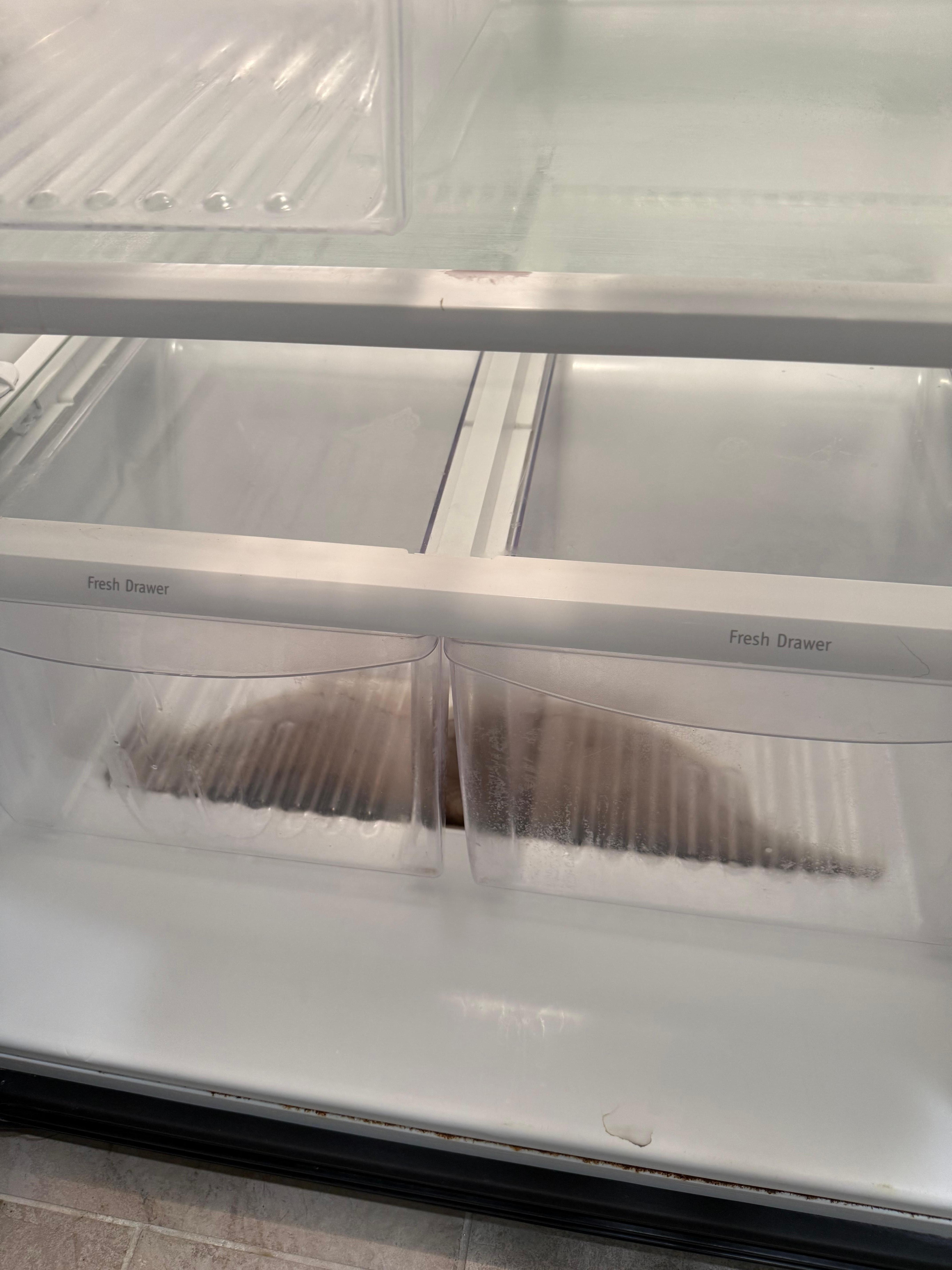 Dirty water in bottom of fridge.   