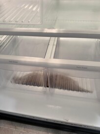 Dirty water in bottom of fridge.