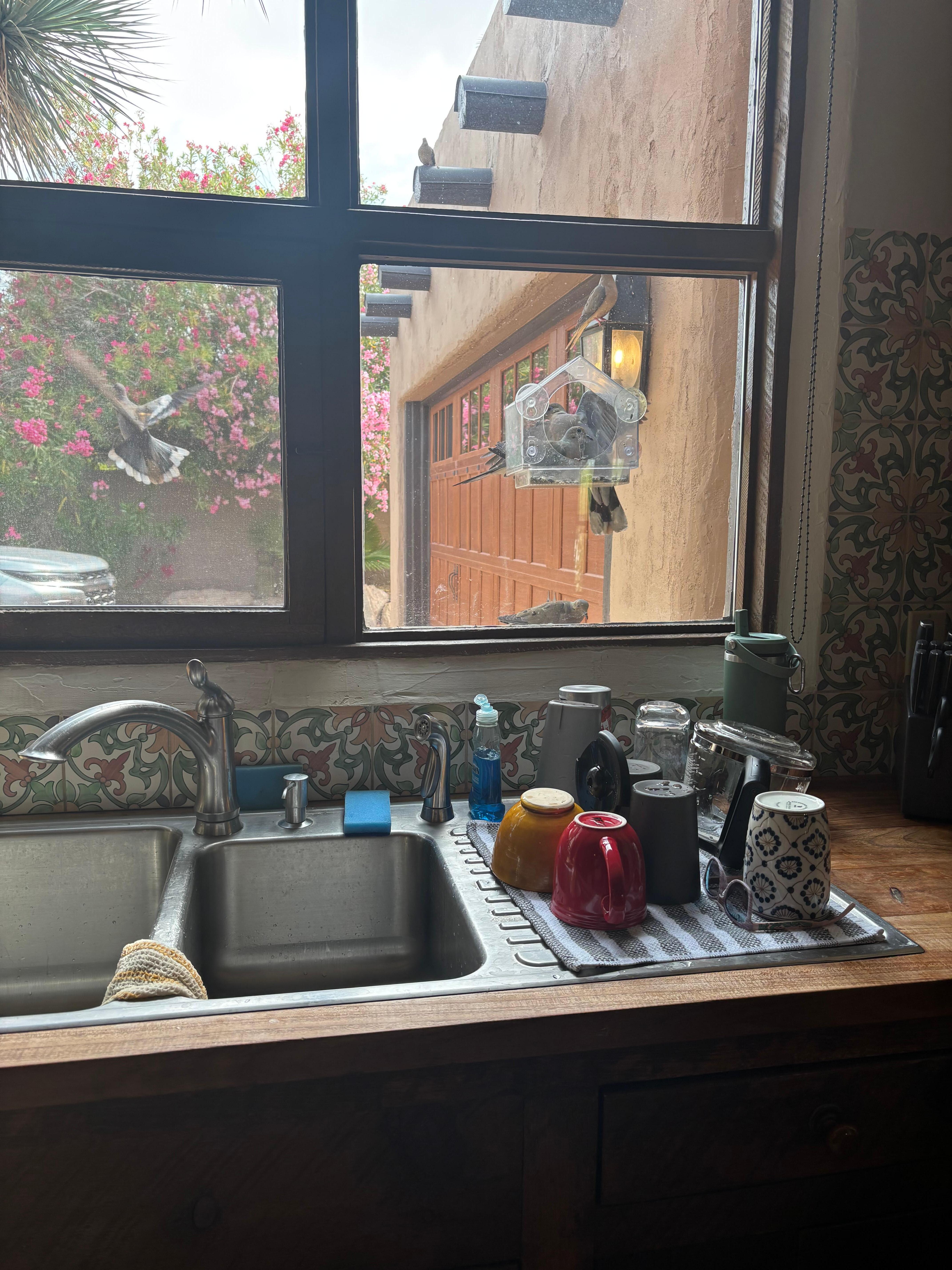 Birdfeeder in the kitchen window will attract tons of birds