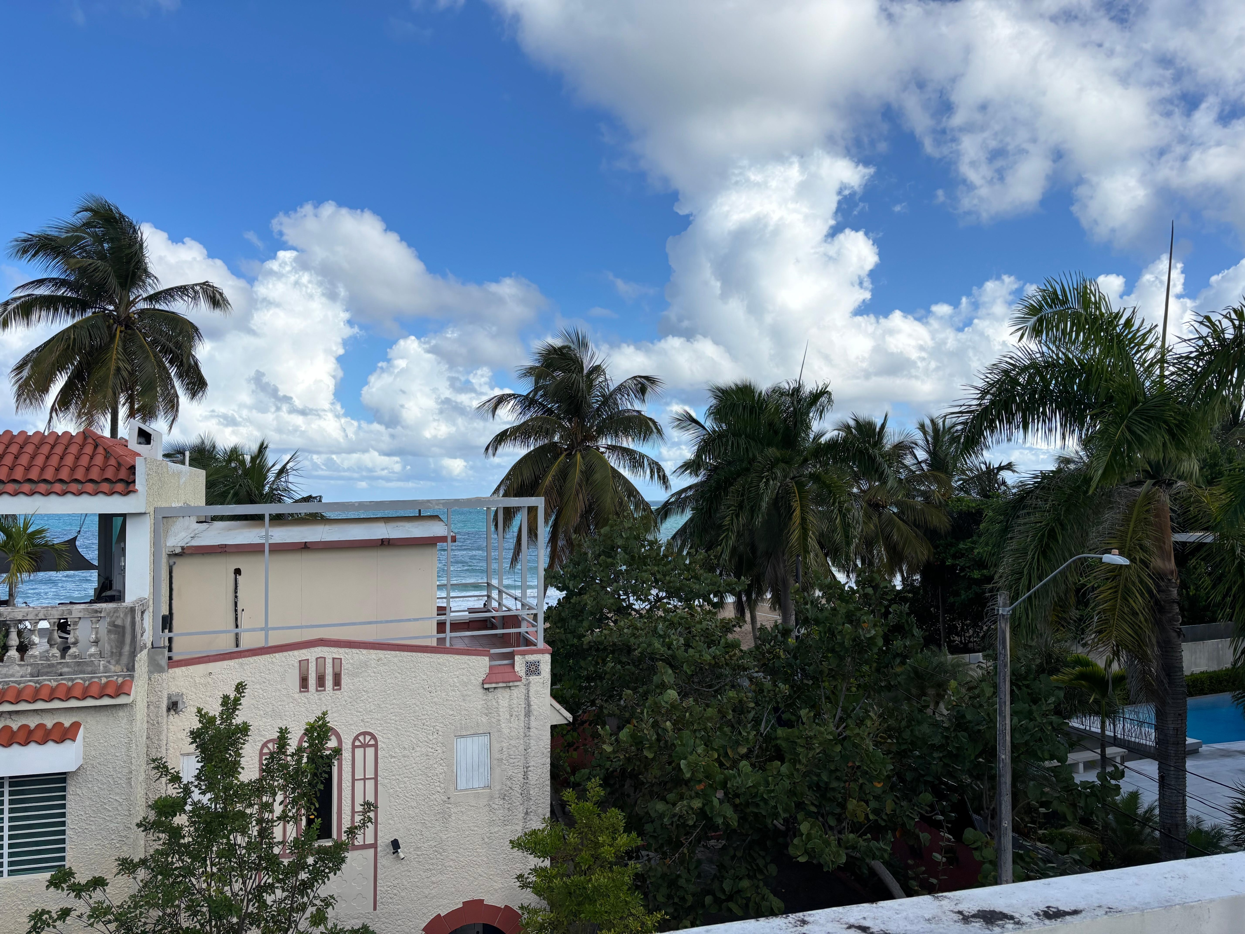 View from the rooftop