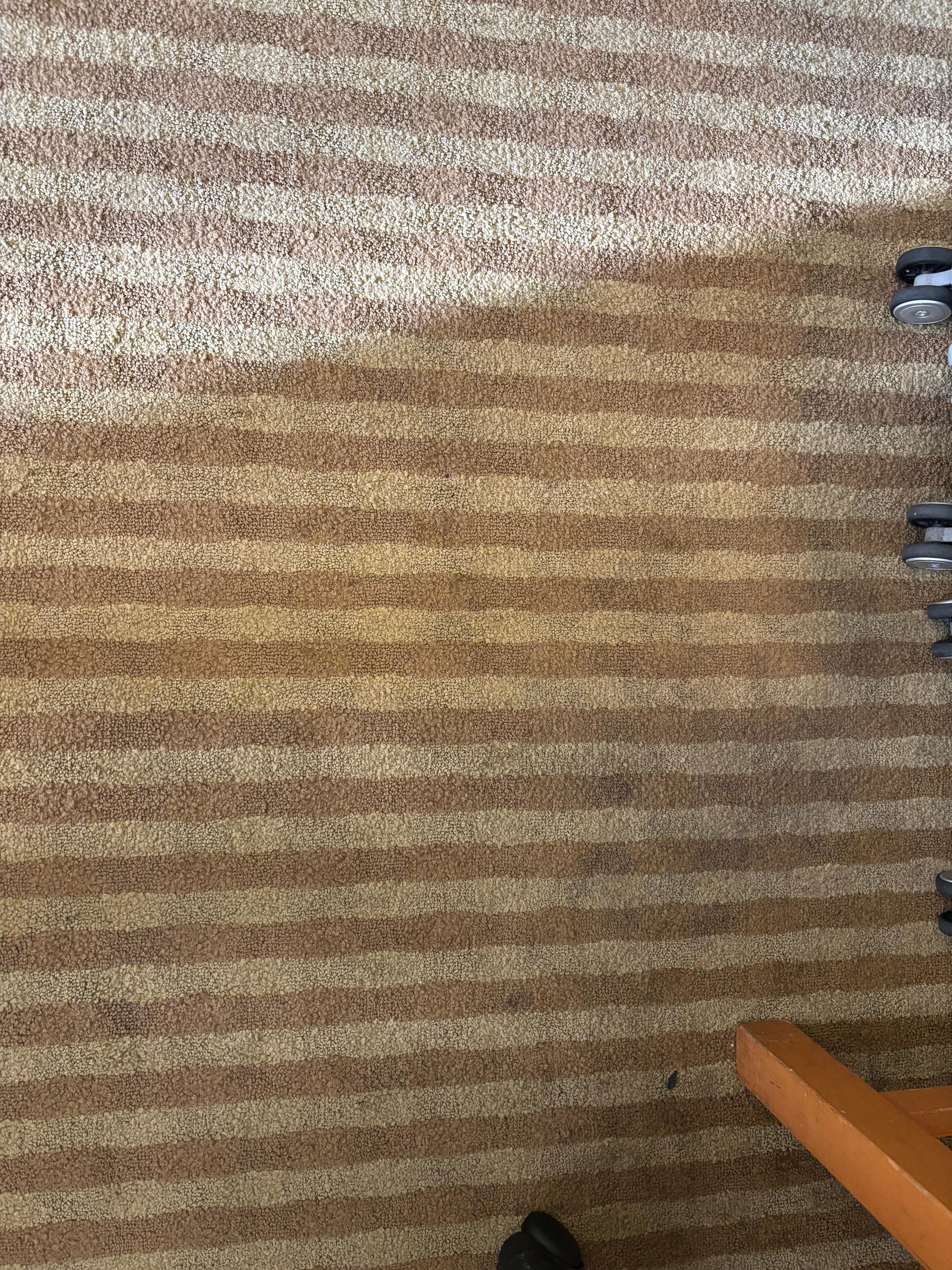Filthy carpet