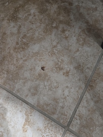 Death roaches