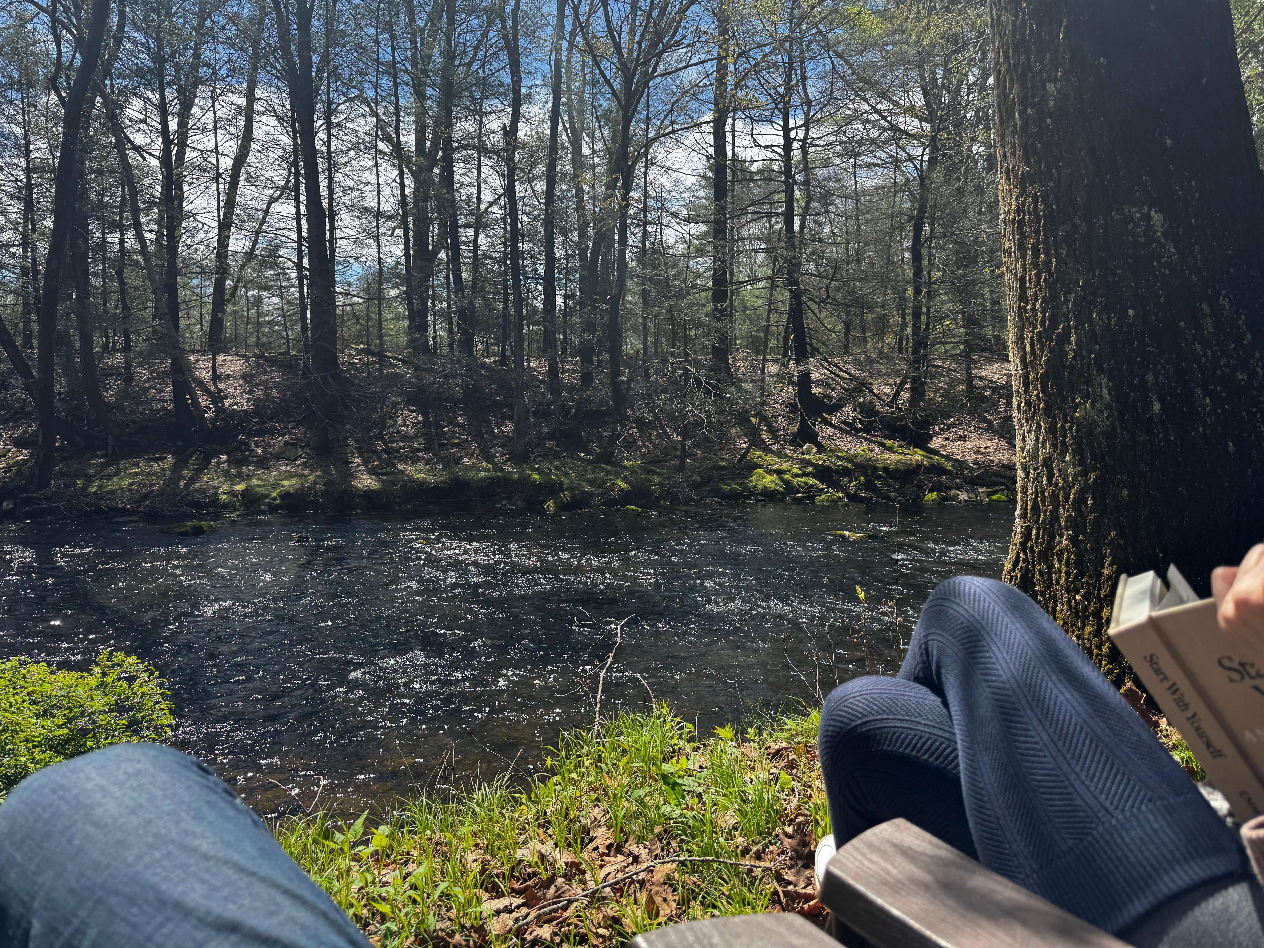 Warm, sunny day by the creek. 