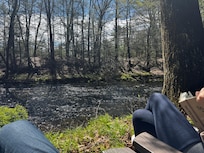Warm, sunny day by the creek.
