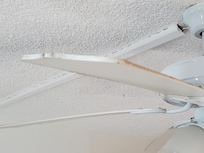 Ceiling fan