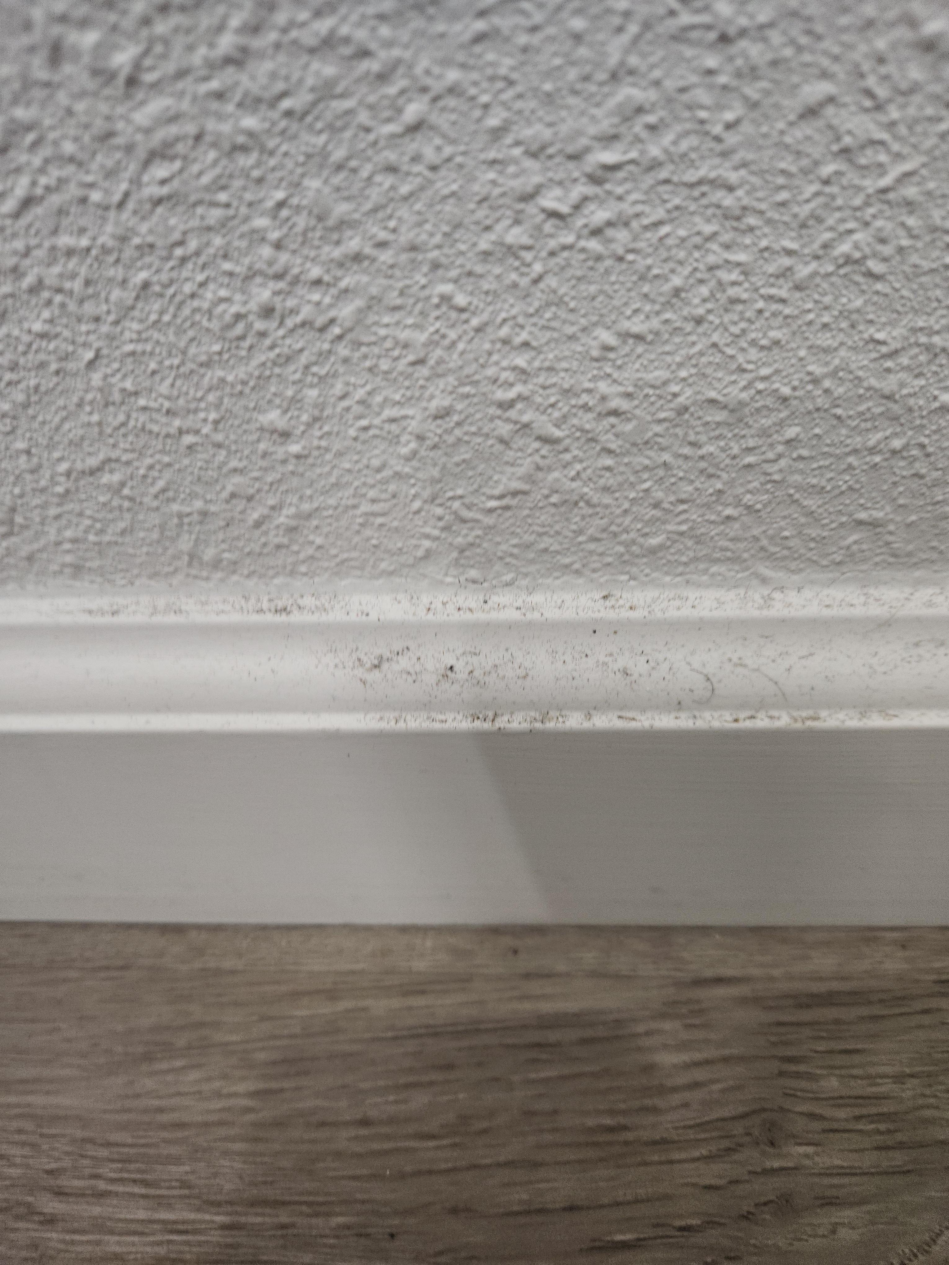 Example of highly visible dirt. This is the baseboard in the hallway.