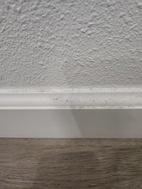Example of highly visible dirt. This is the baseboard in the hallway.