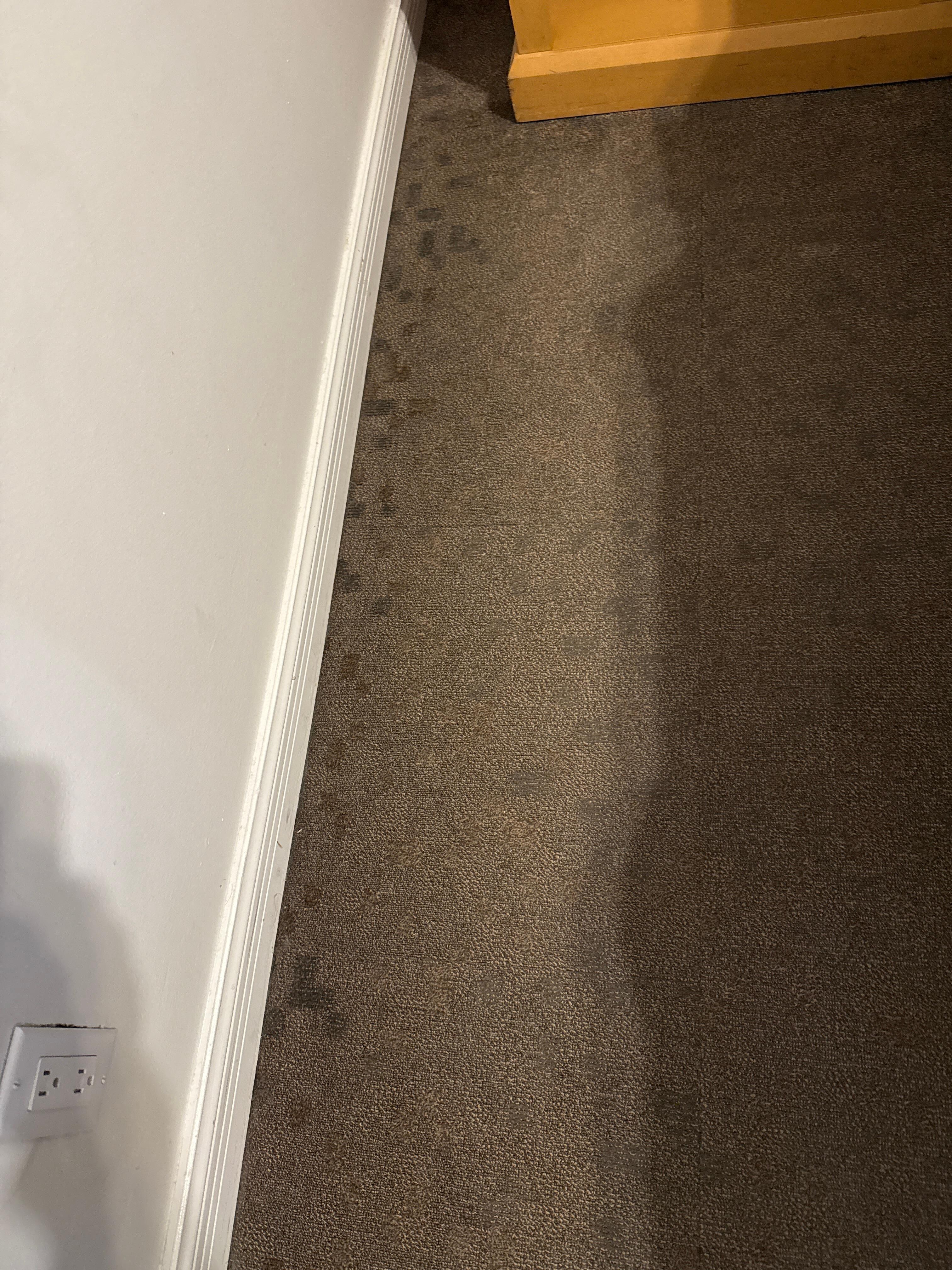 Floor