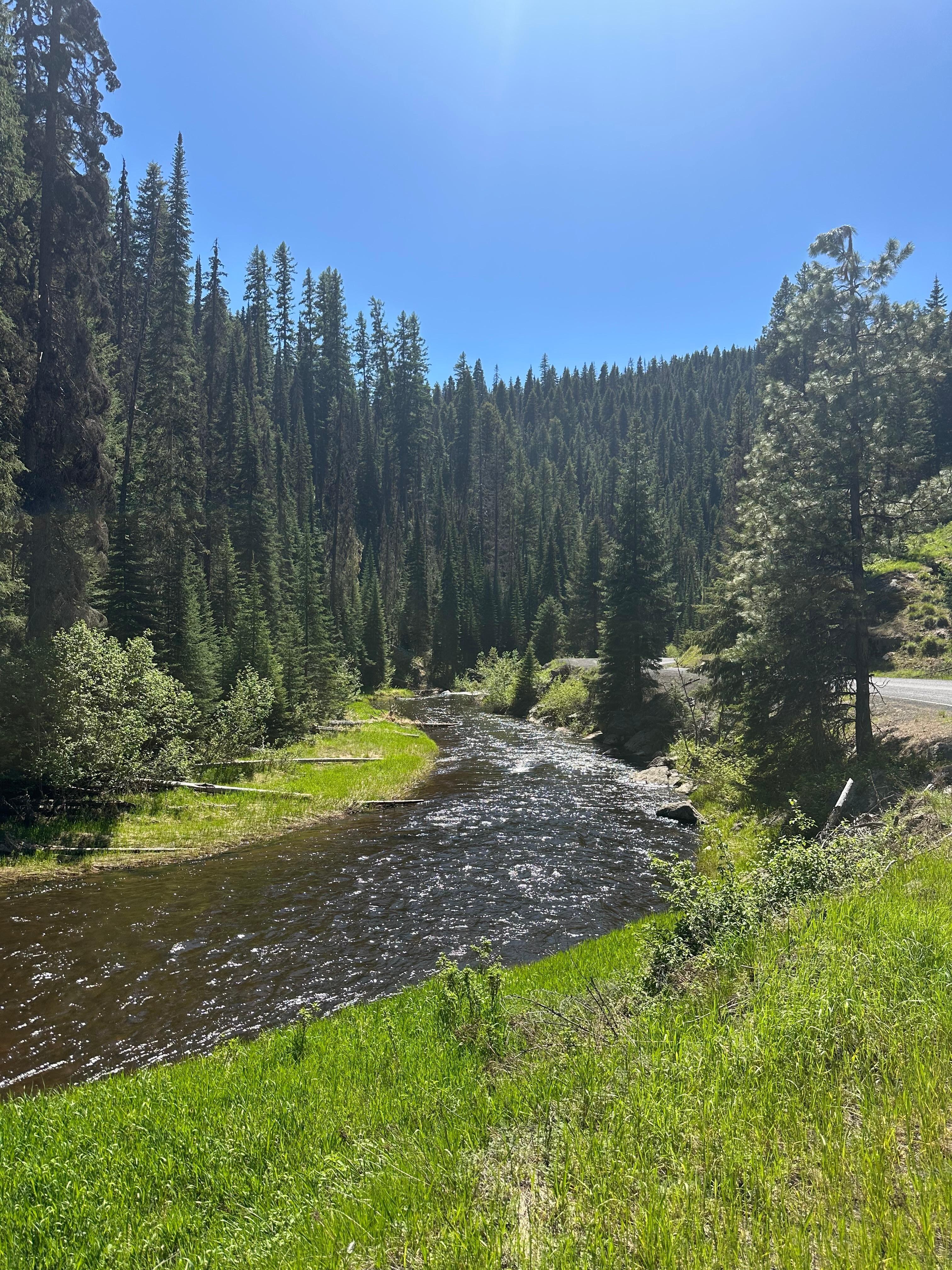 Nearby rivers for great trout fishing. 