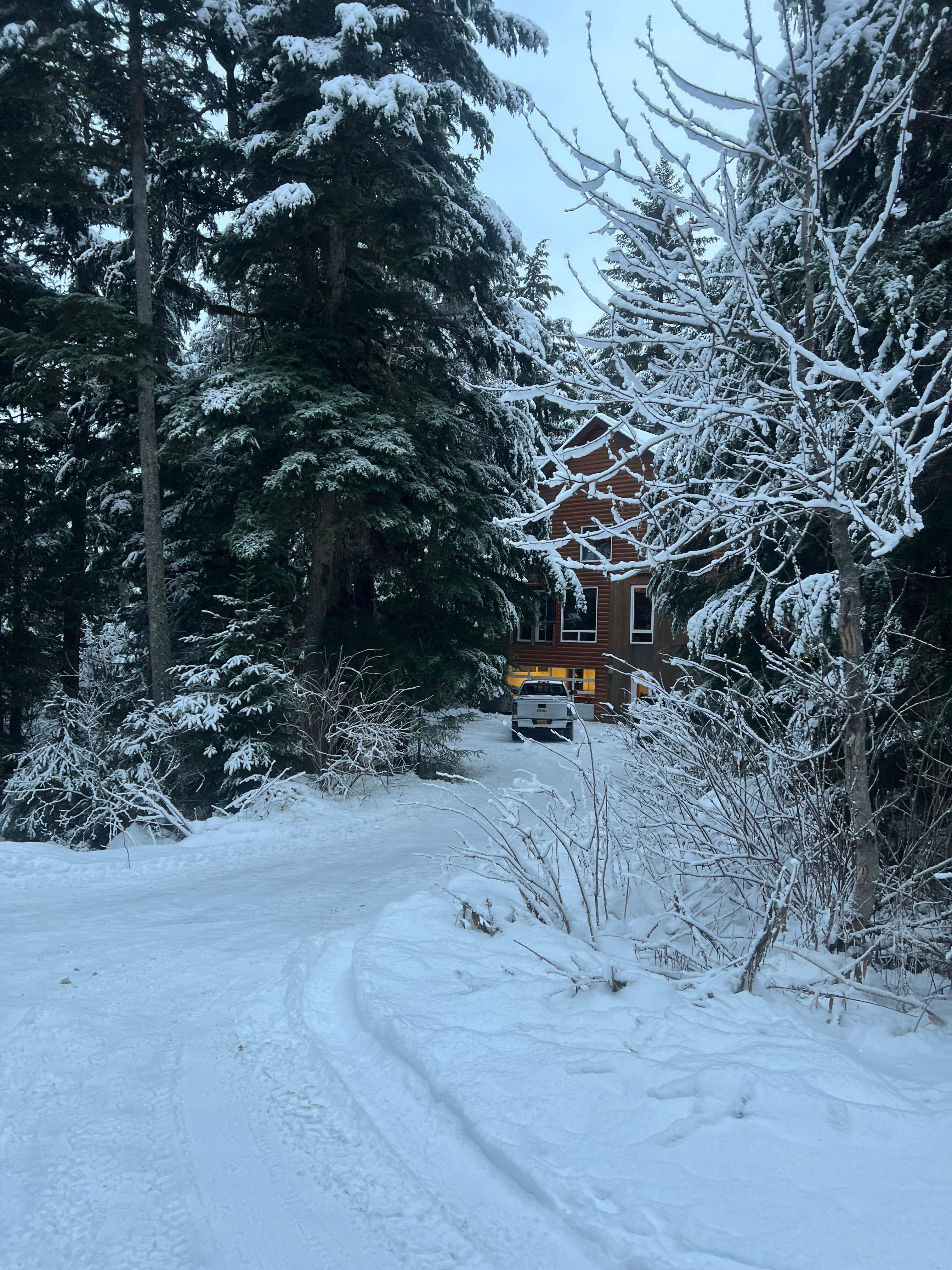 Such a secluded area and big trees everywhere. Very private. 