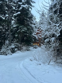 Such a secluded area and big trees everywhere. Very private.