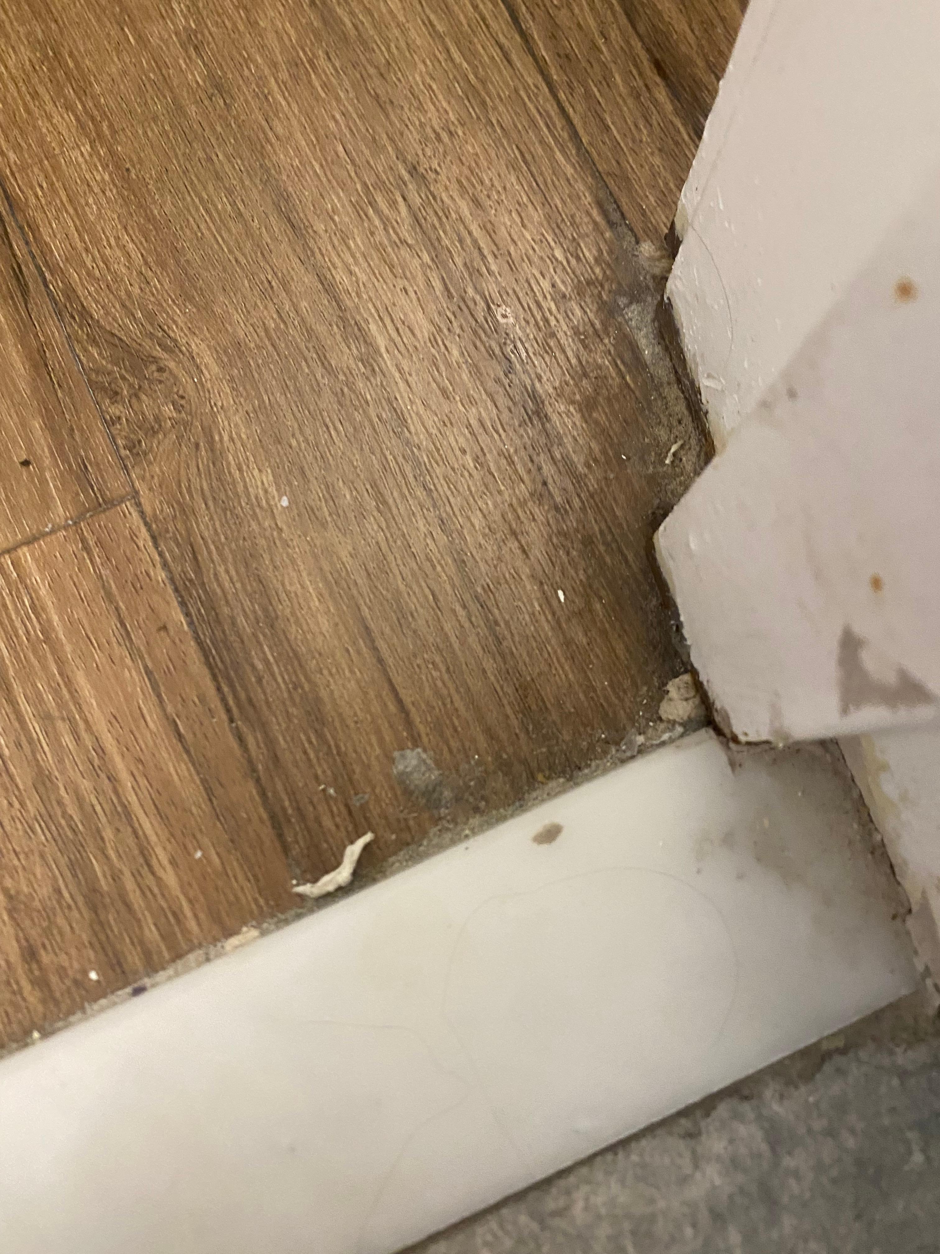 Baseboards and floors gross