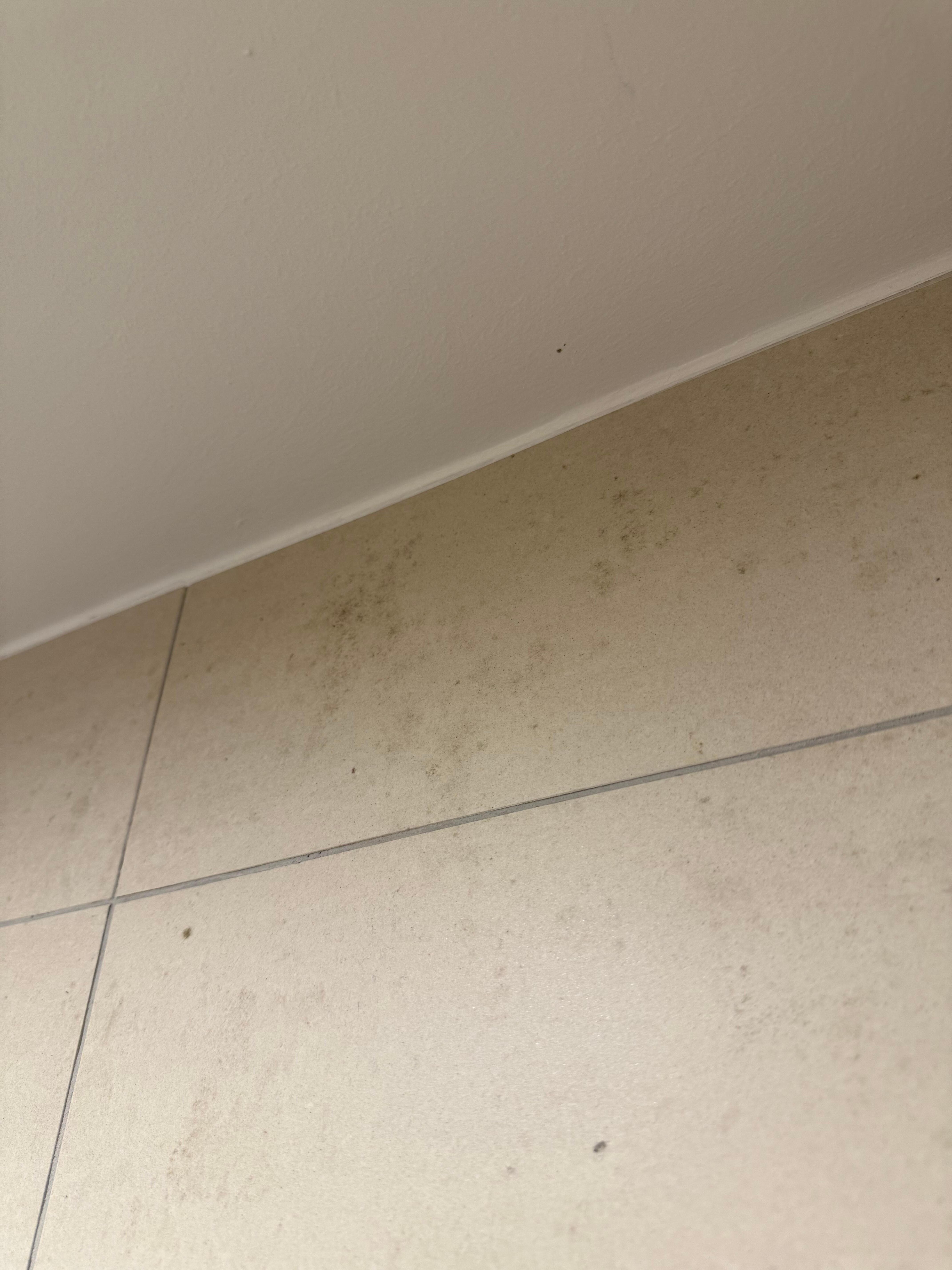 Schimmel in der Dusche