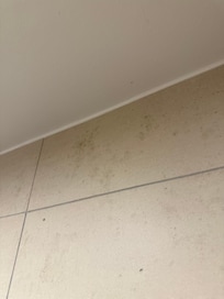Schimmel in der Dusche