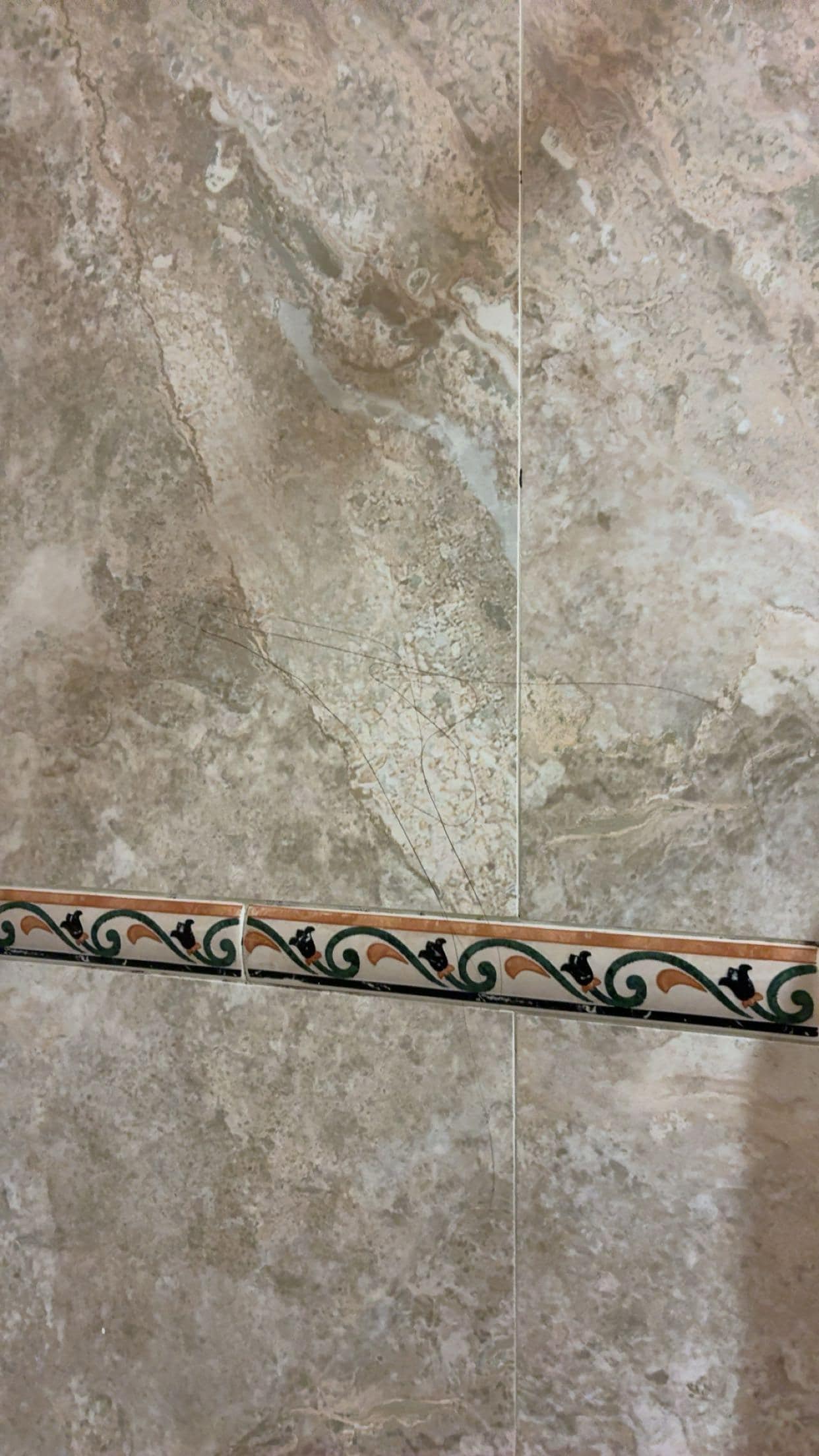 Hair on shower wall