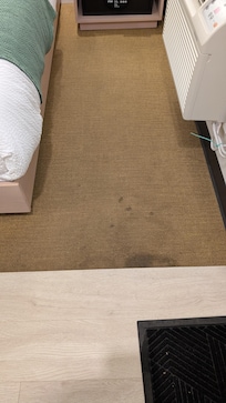 Several carpet stains. Not typical when I have stayed here in the past