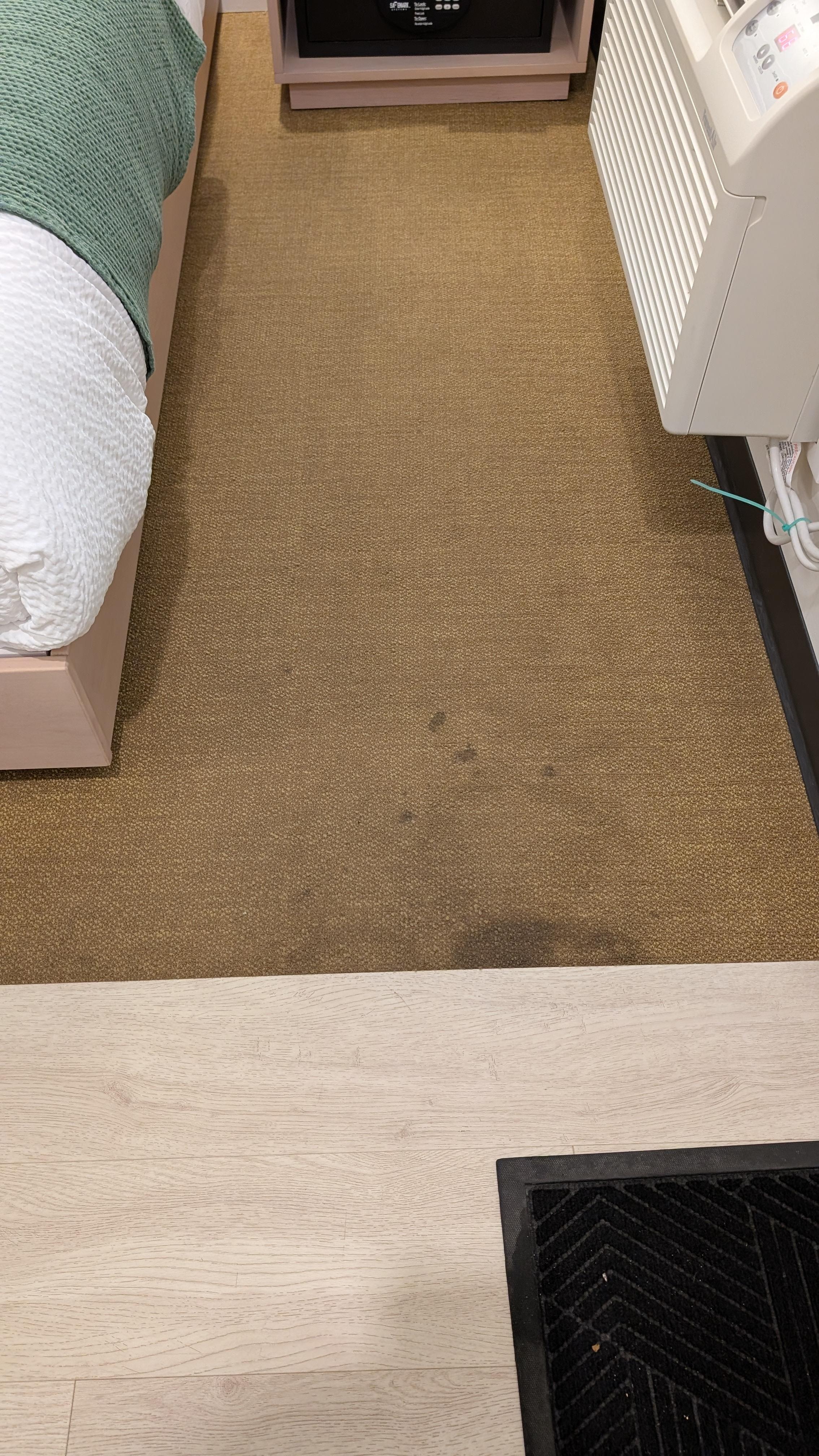 Several carpet stains. Not typical when I have stayed here in the past