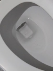 El retrete sucio