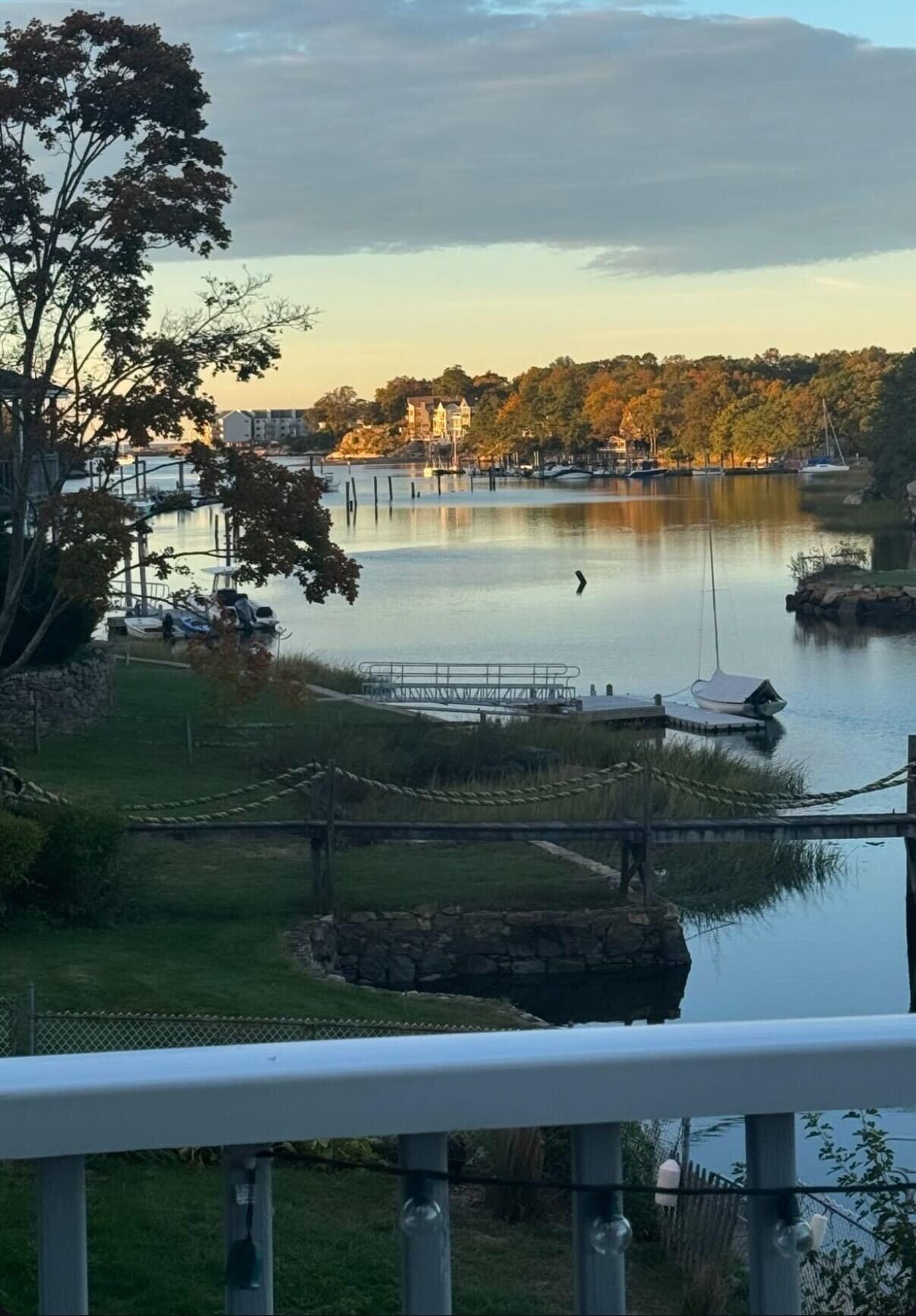 Morning view from the back deck