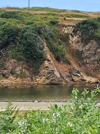 View of Pudding Creek from the hotel grounds.