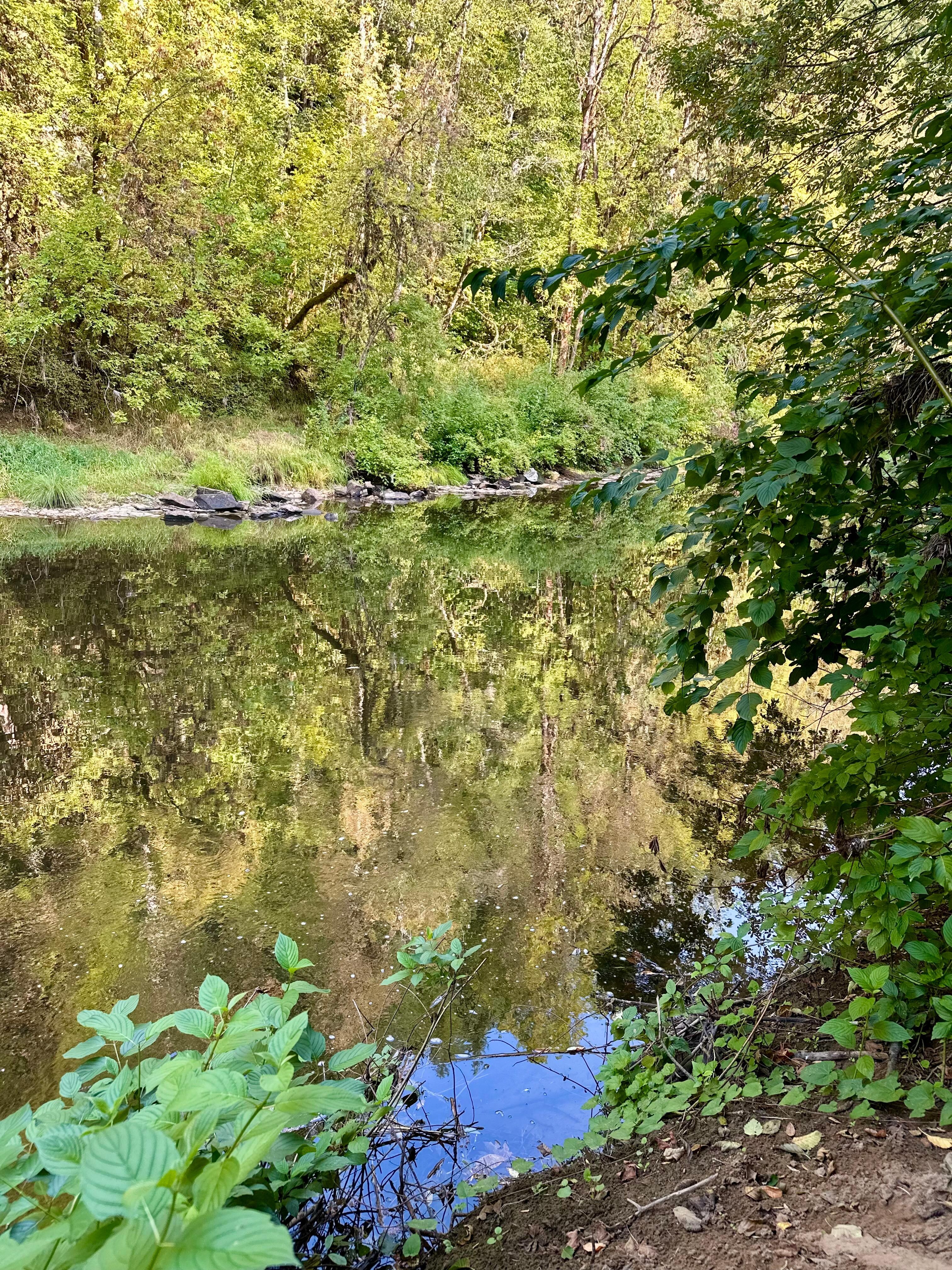 Watch for the river otters and listen as animals noisily go about their day. 