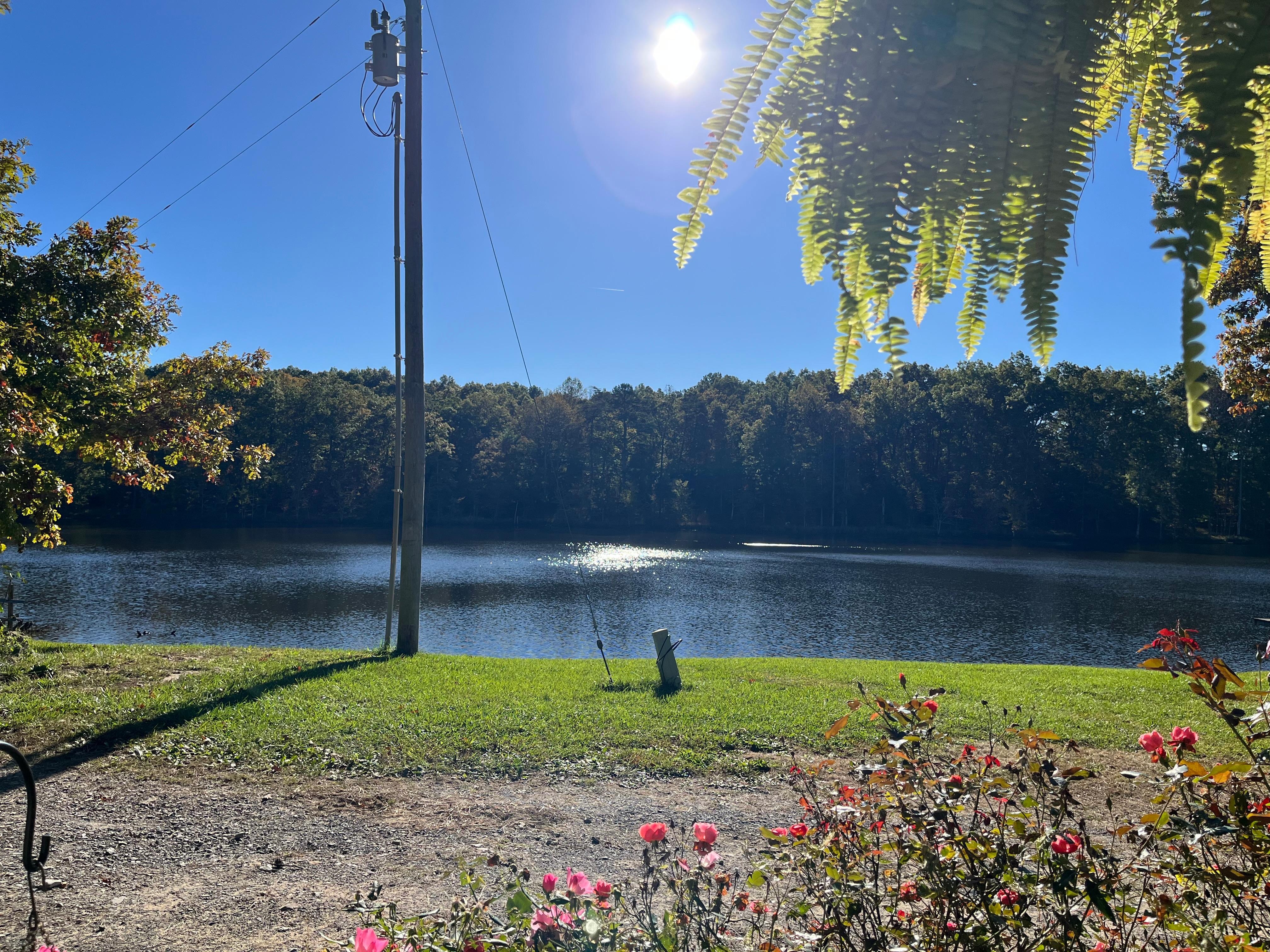 The view from breakfast on the porch