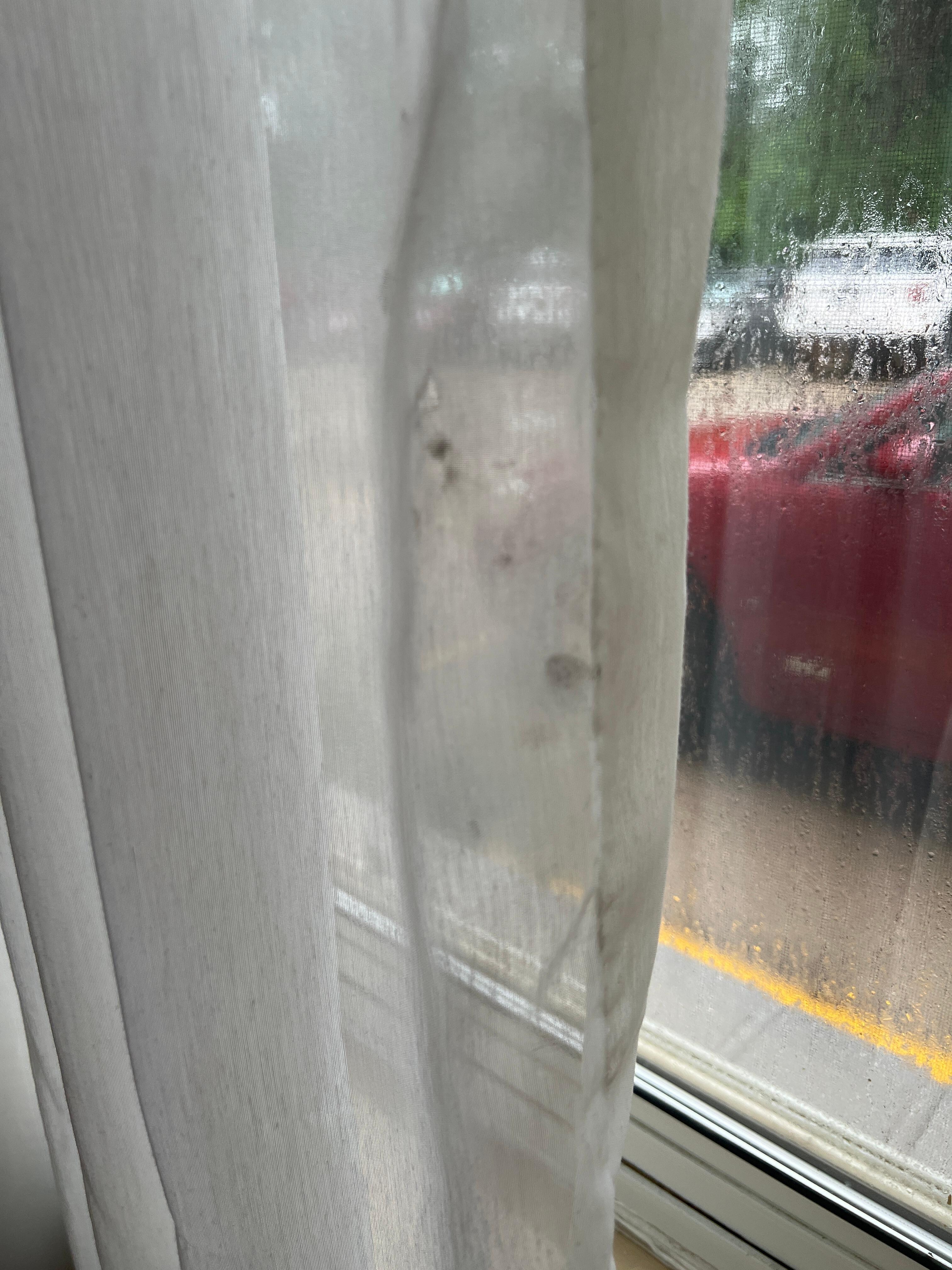 Dirty window curtains, look like cigarette butt smudge