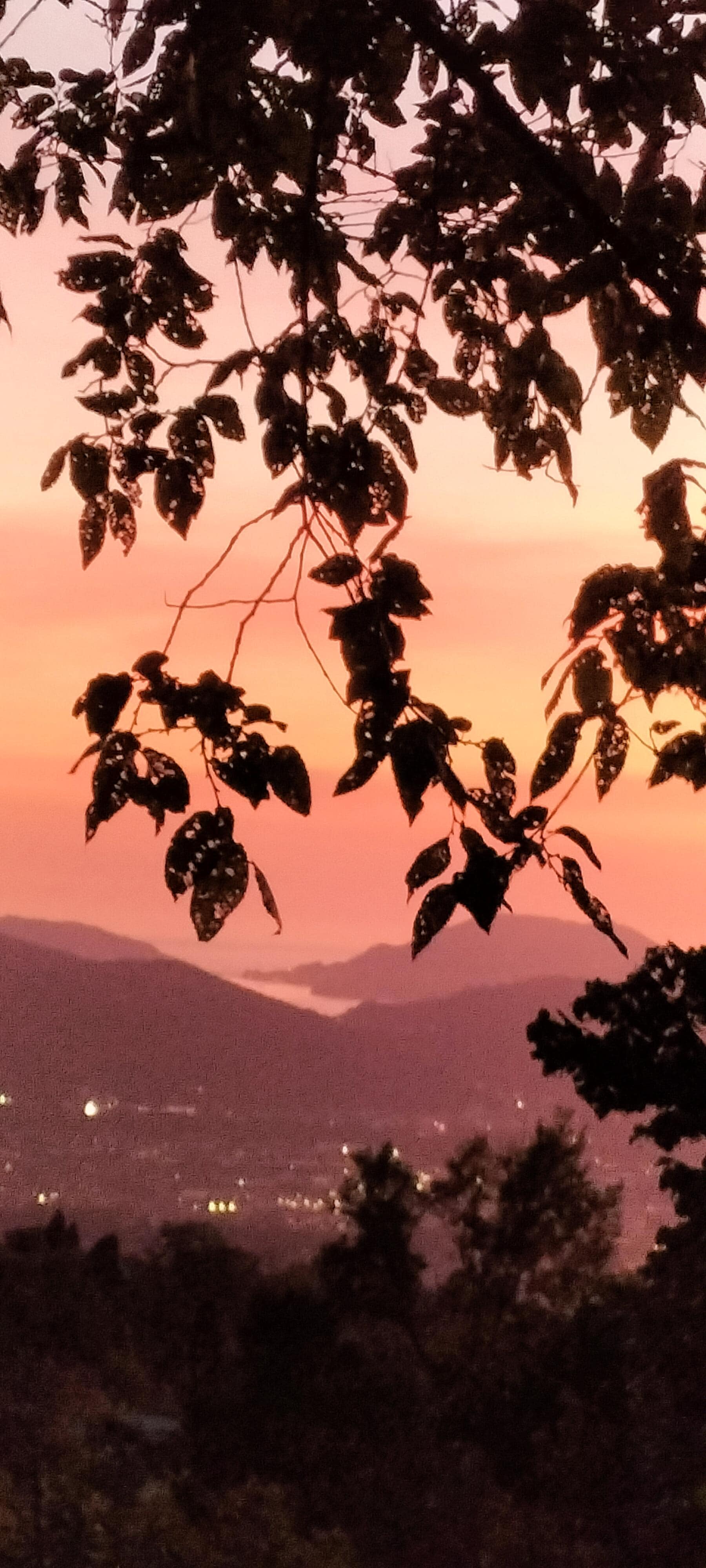 Il tramonto visto dal giardino 