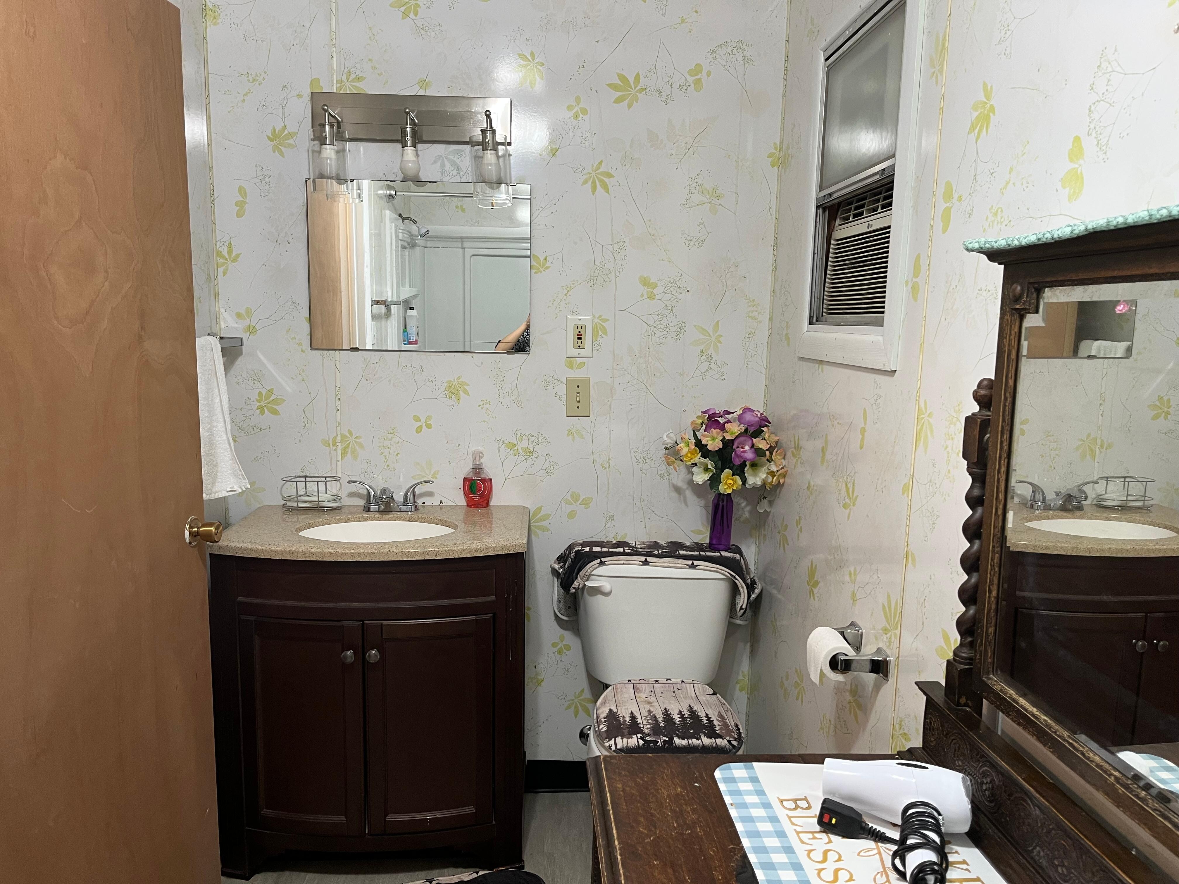 Toilet and sink