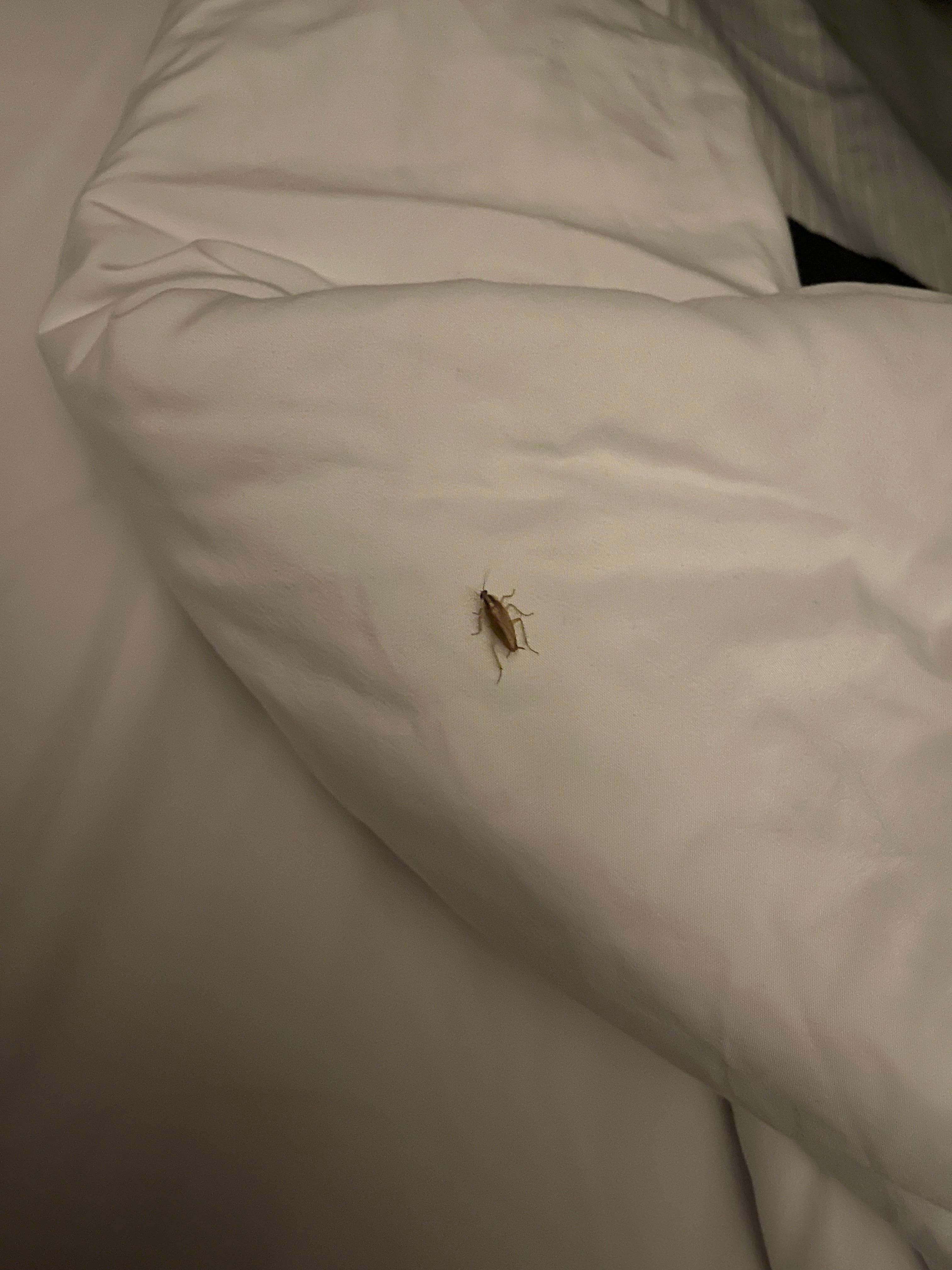 My bed mate for the visit. 