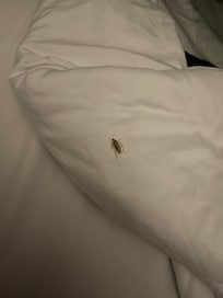 My bed mate for the visit.