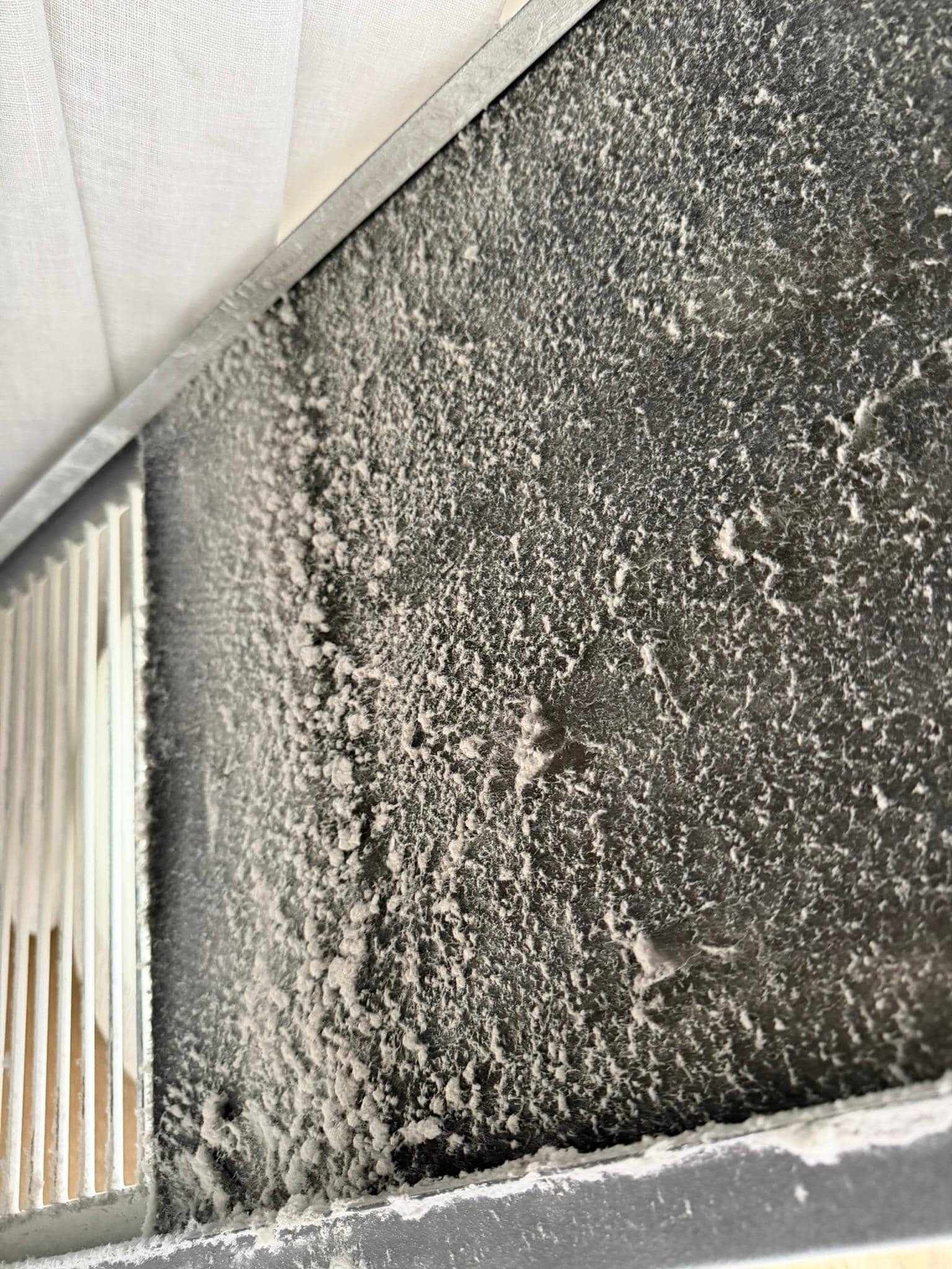 disgusting dirt and grime