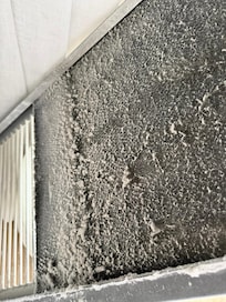 disgusting dirt and grime