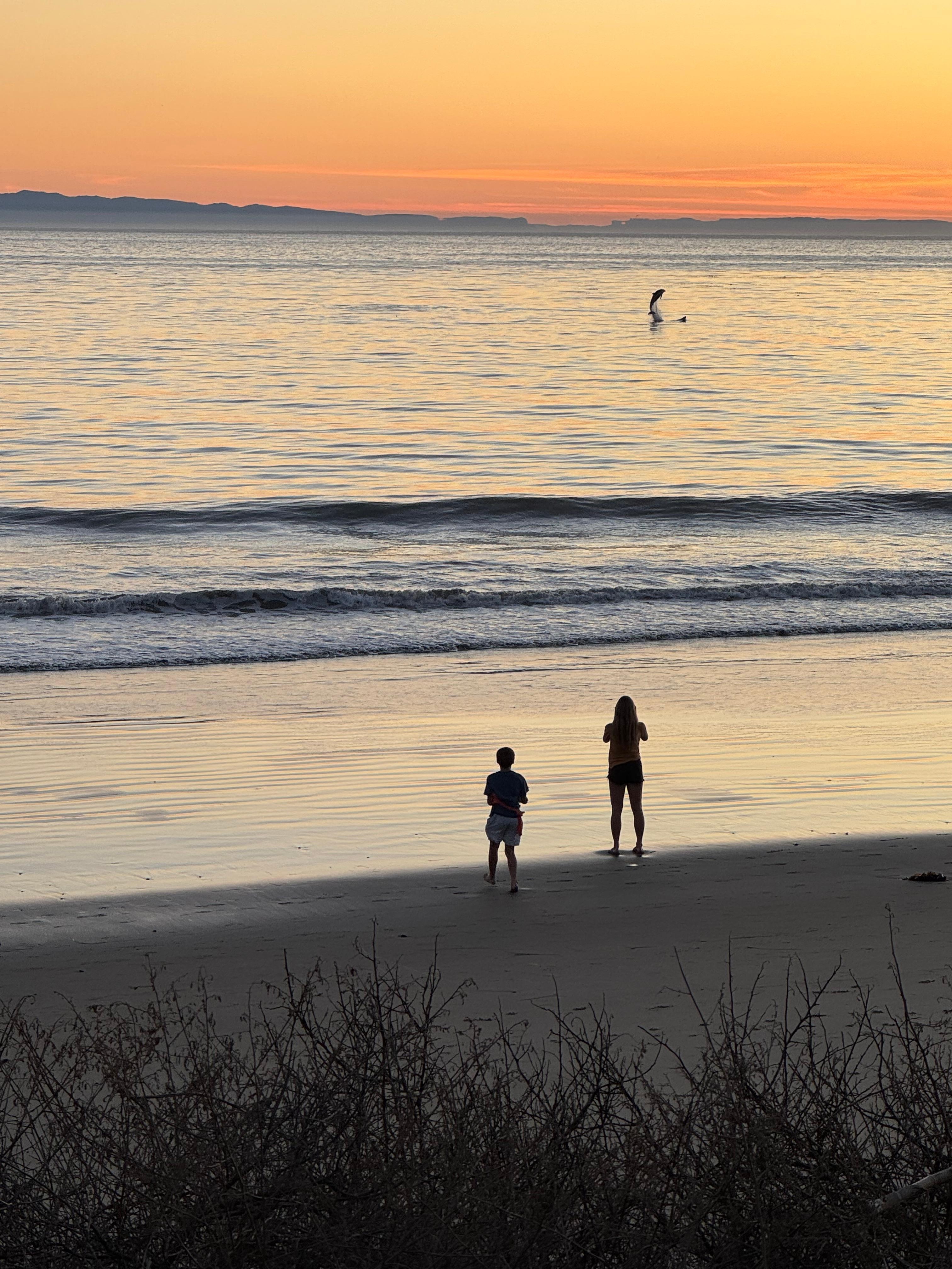The dolphins literally welcomed us at the pocket beach located immediately across the freeway on our first night!