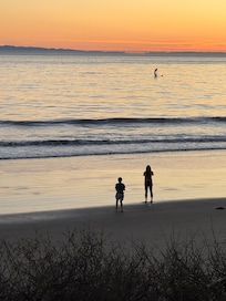 The dolphins literally welcomed us at the pocket beach located immediately across the freeway on our first night!