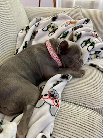 Vacation naps are the best