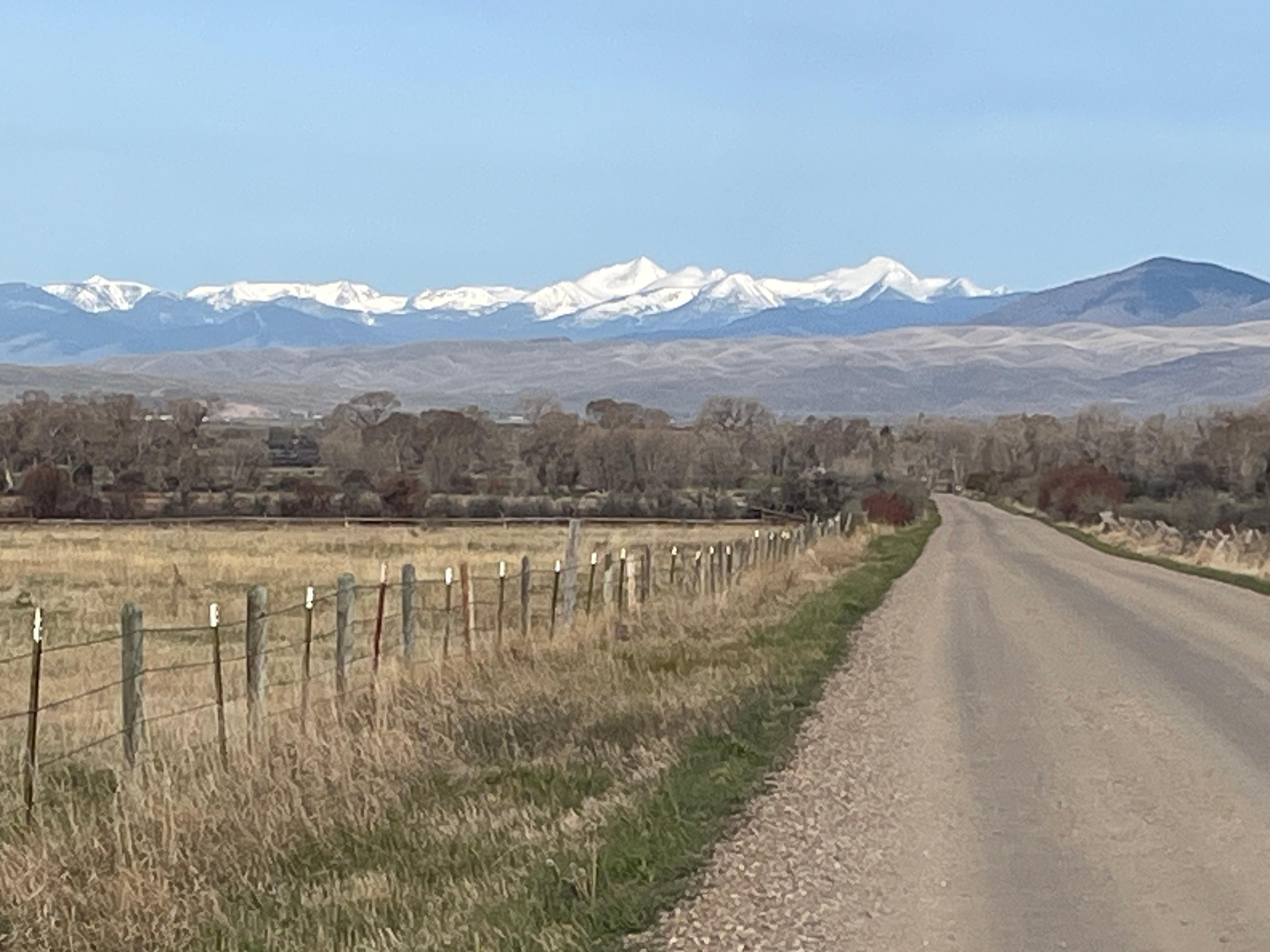 View on a morning walk from the cabin