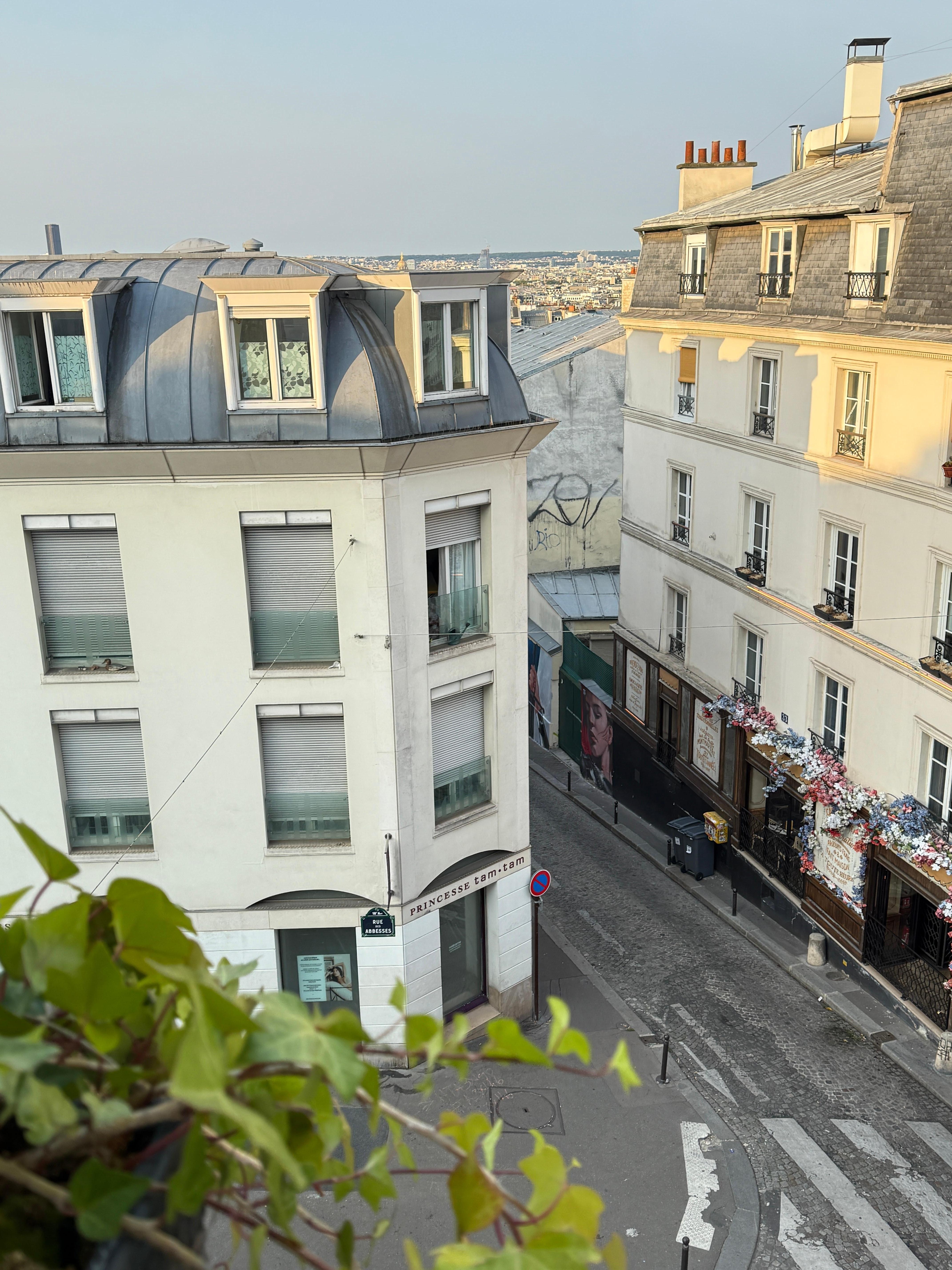 Picture from our window! 