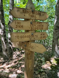 Trail running