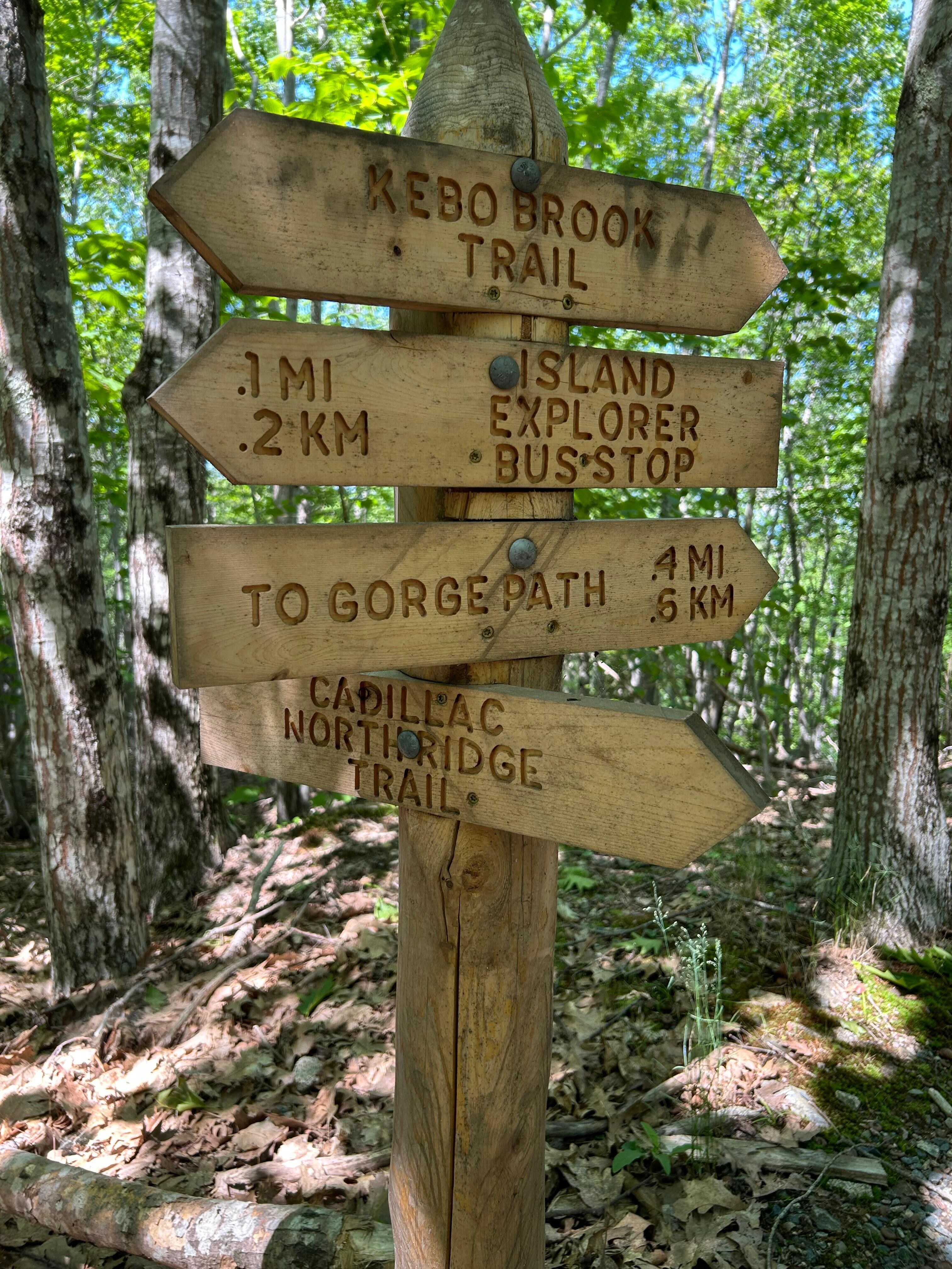 Trail running