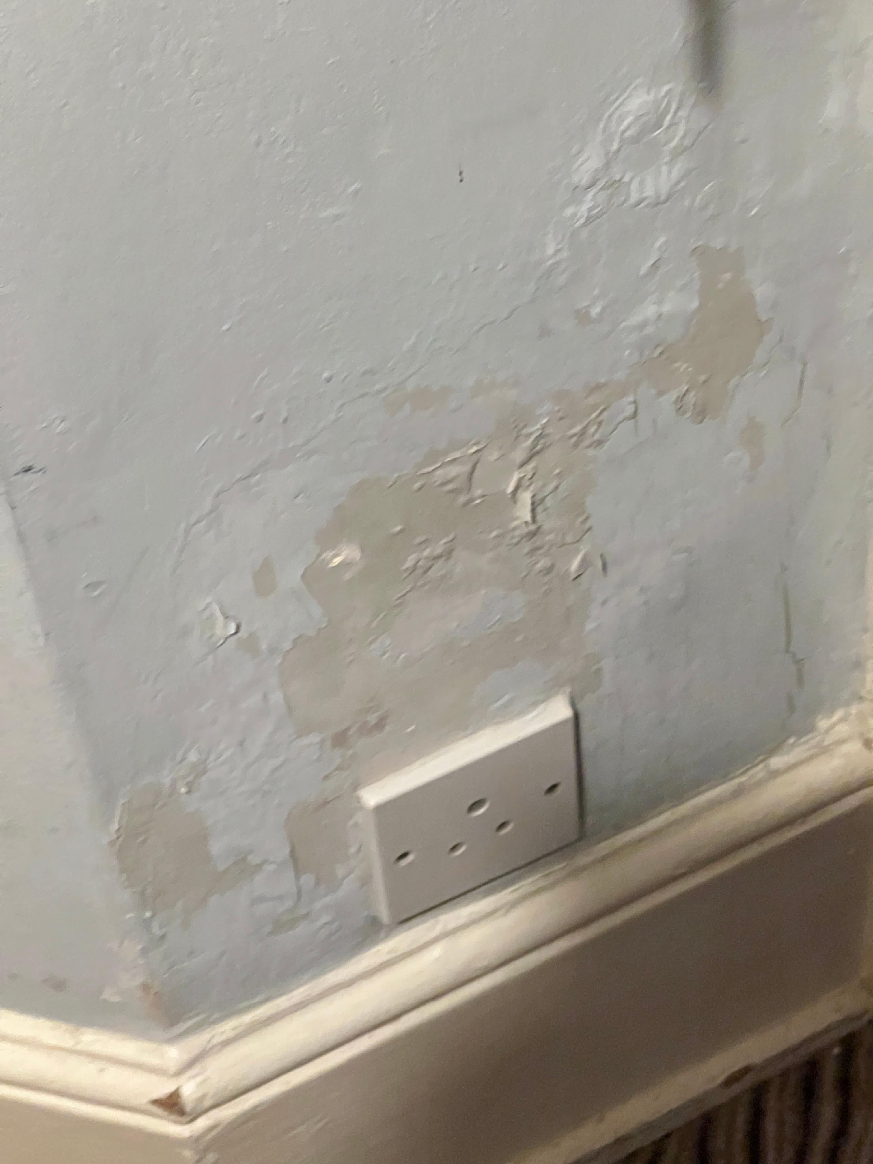 Bedroom walls