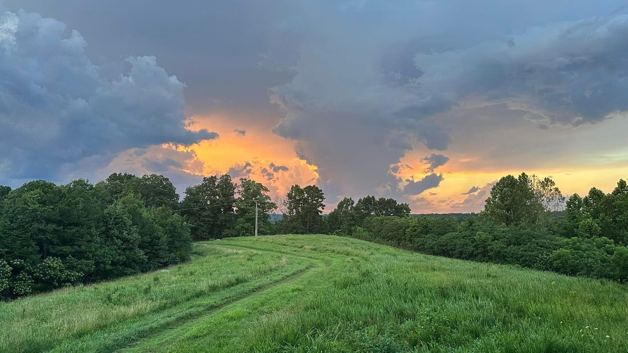 Beautiful view from the porch