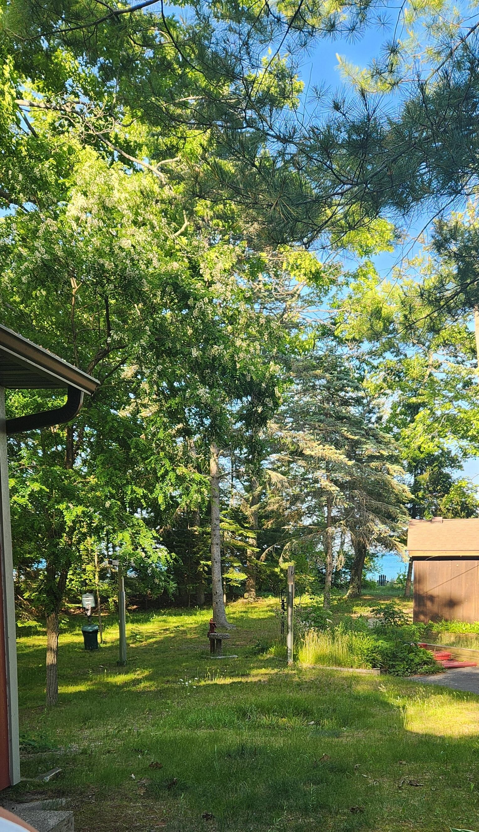 View from the porch, just a short walk to the beach 